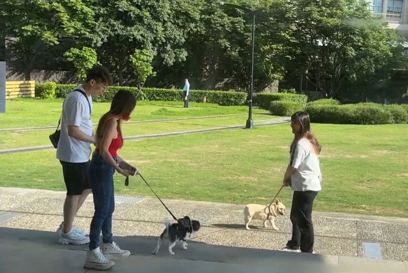 獨家/愛犬激動狂吠惹爭議 王宥忻發聲反駁:牠交到很多狗朋友
