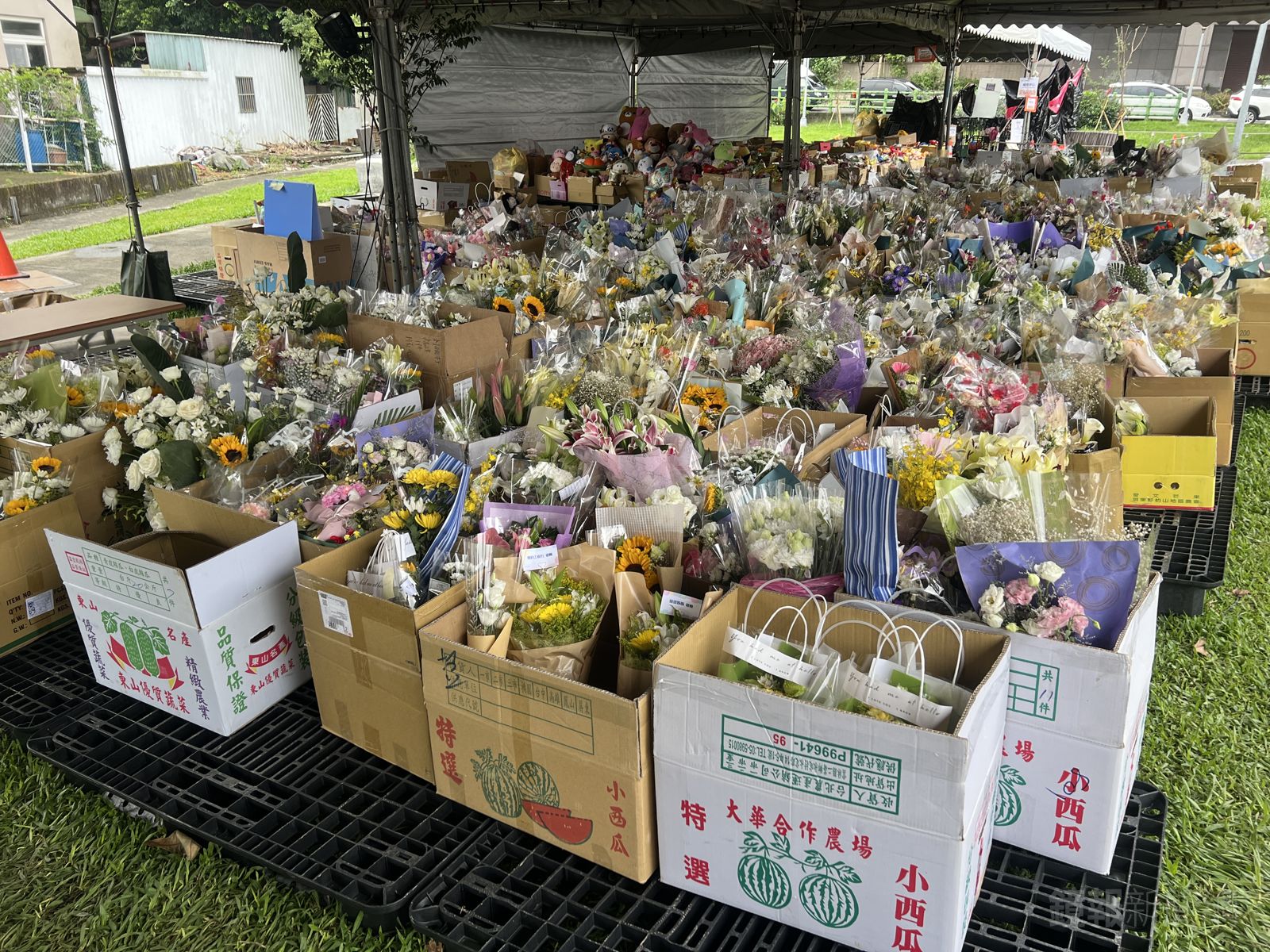 三峽車禍老翁持續昏迷　民間團體今到現場舉辦追思活動