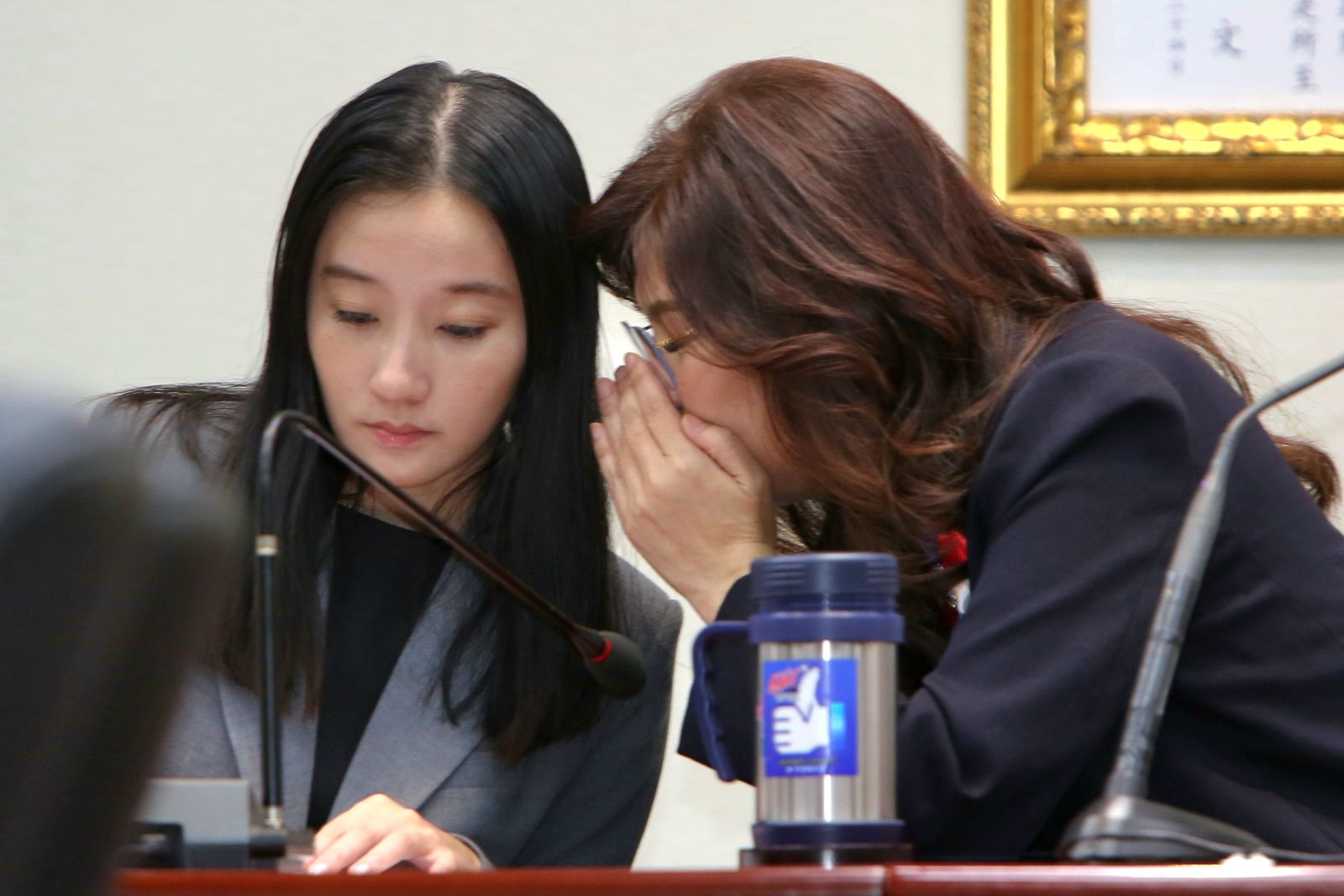 陳嘉宏專欄:鄭麗文還在幫共產黨欺騙台灣人