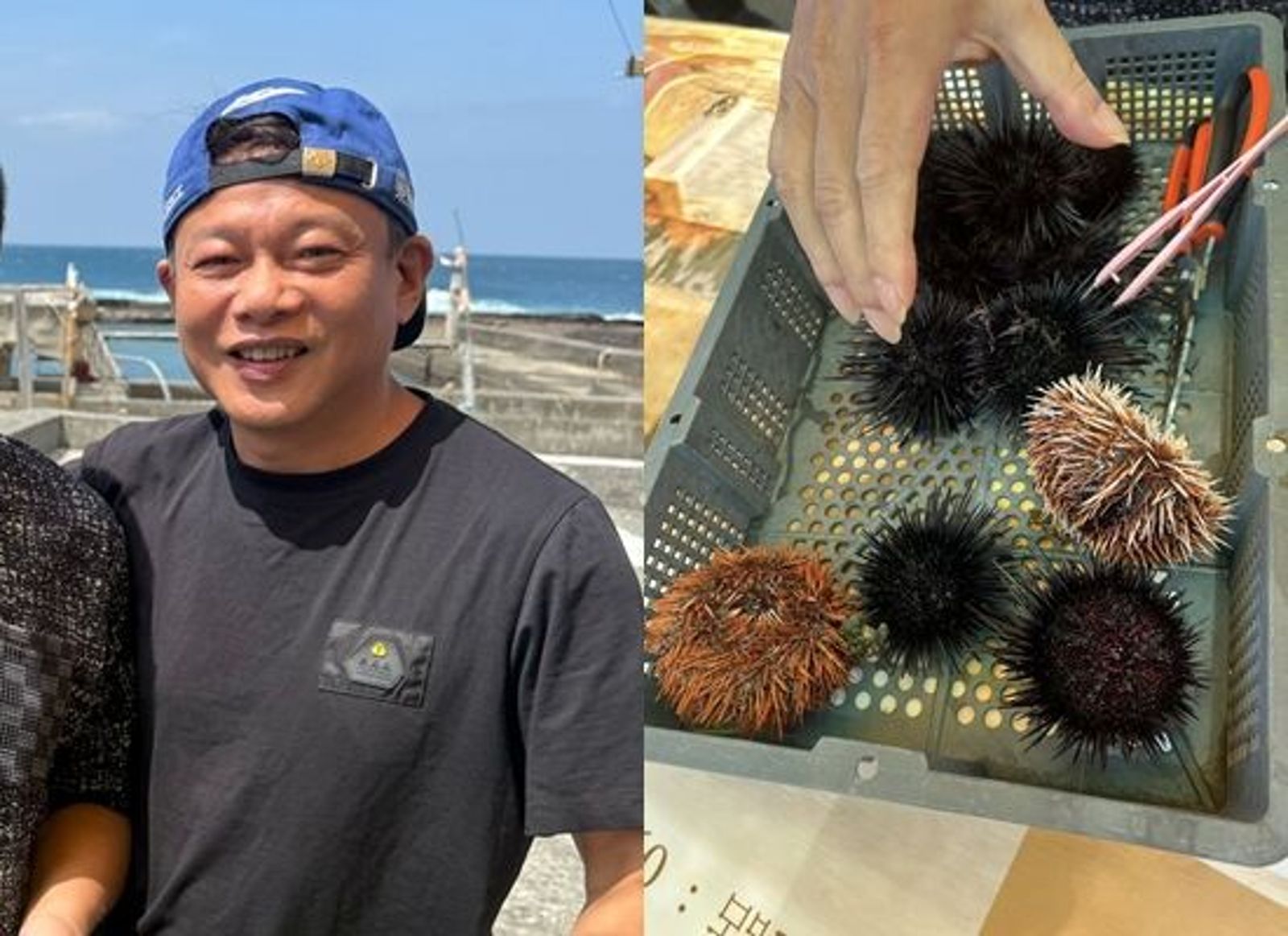 李康生誤撿海膽致歉　原本只是浮潛玩水卻成海賊王