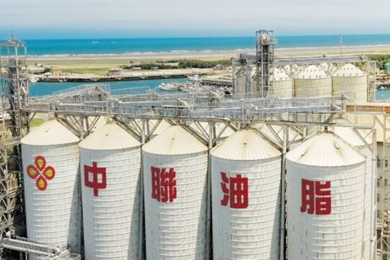 中聯油脂致癌油流市面道歉了!3油品廠「18品項、21批號」急下架 退換貨方式曝