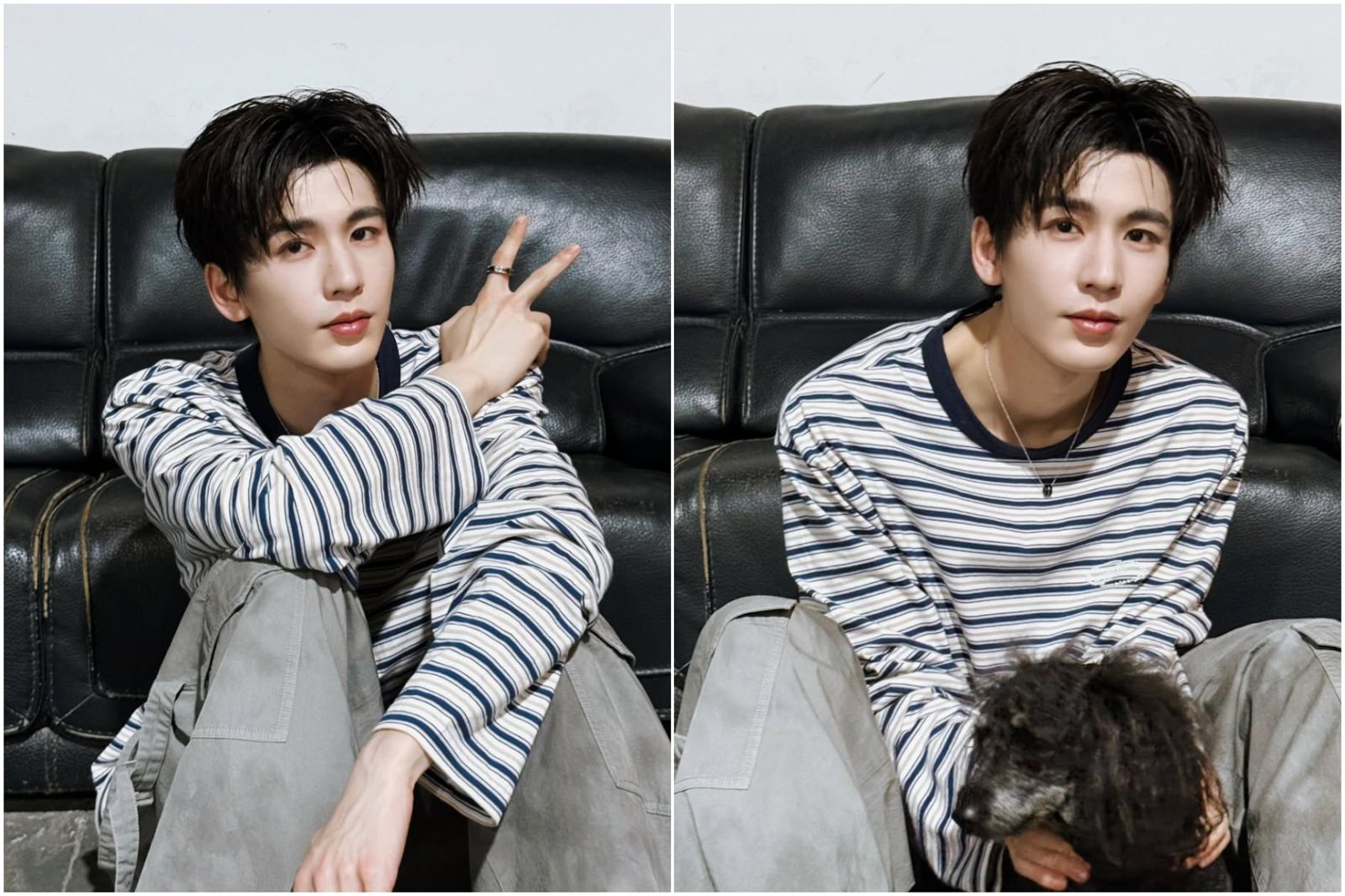 張凌赫IG新照太迷人！竟親自「翻牌」5字賣萌回應台灣粉絲留言　女星嗨喊：第一次羨慕狗狗