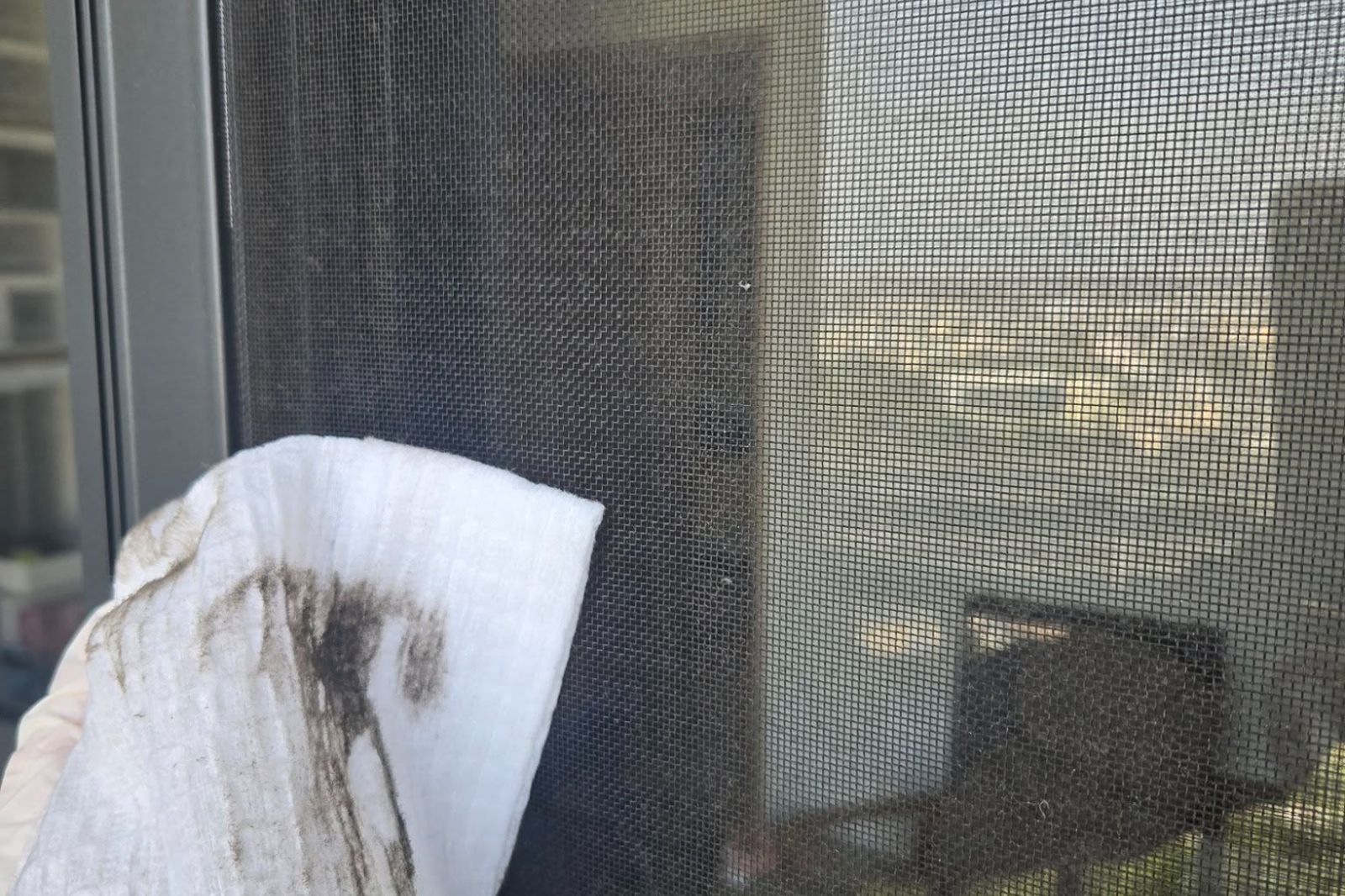 洗紗窗、玻璃窗不用拆！家事達人推「這2物」：輕鬆就能清乾淨