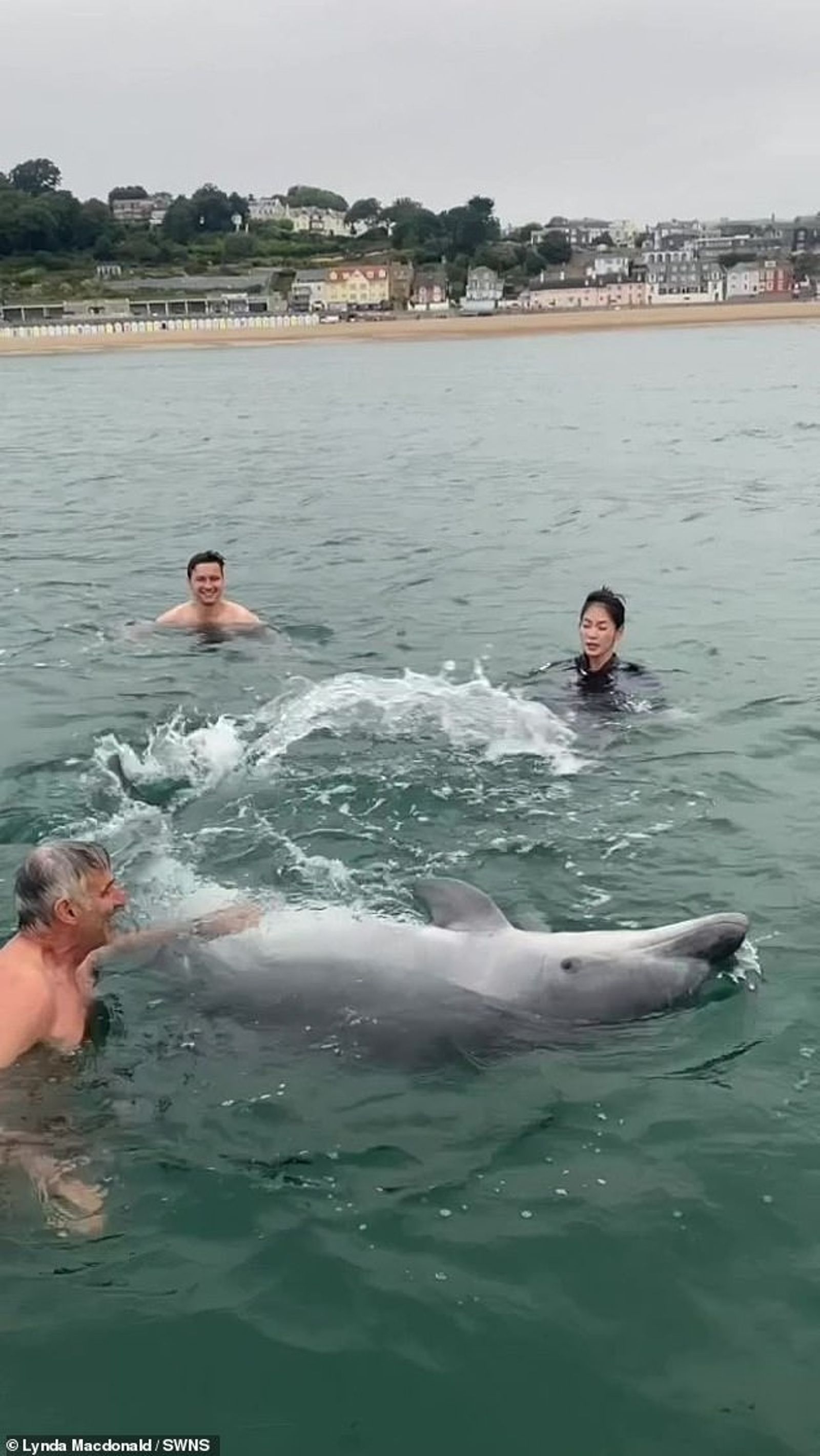 這隻海豚跟麥當勞家族玩在一起。圖／翻自《每日郵報》