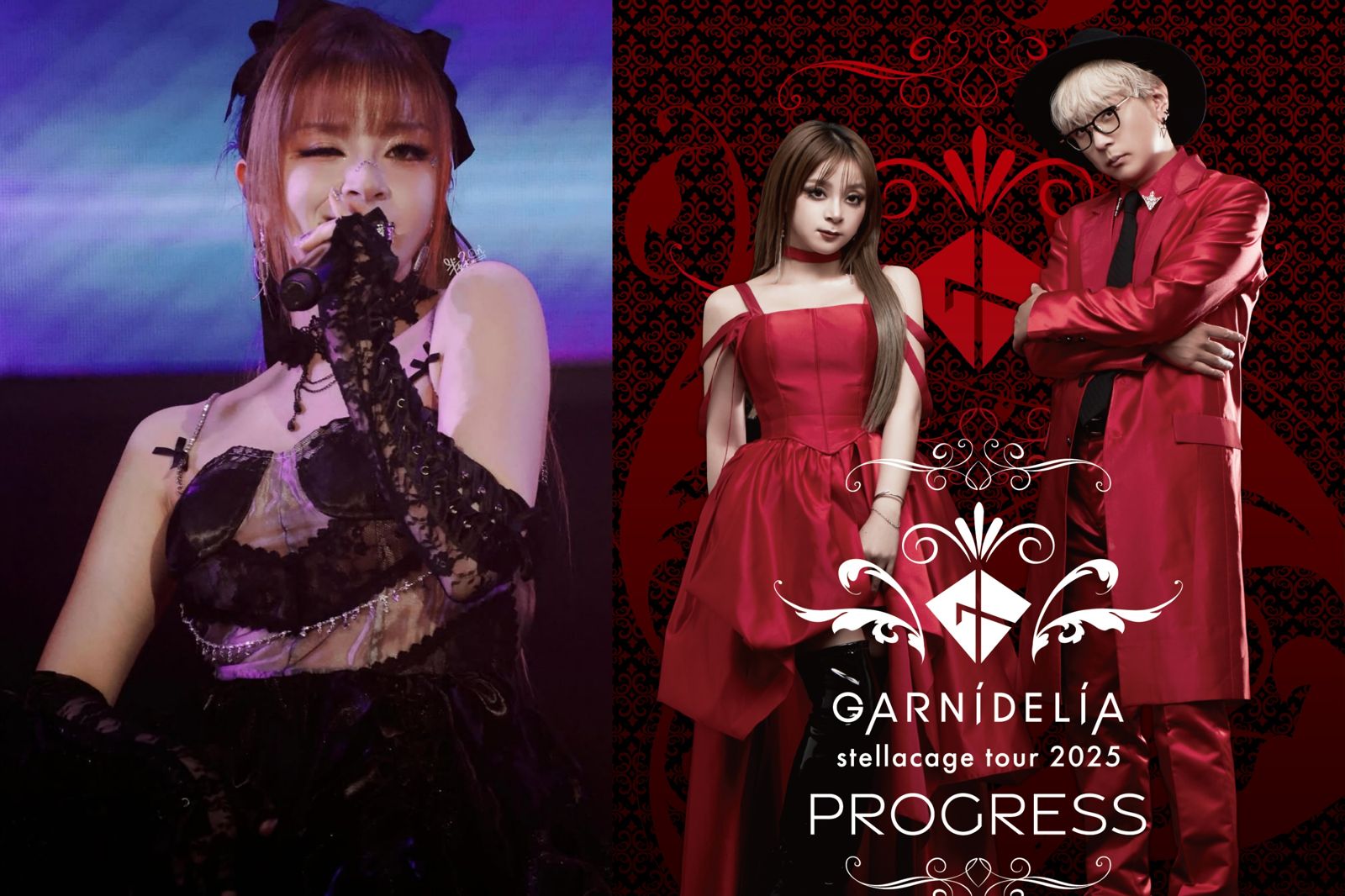 台日巡演全喊卡!〈極樂淨土〉夯團GARNiDELiA無預警休團 女主唱傻眼認:不知情