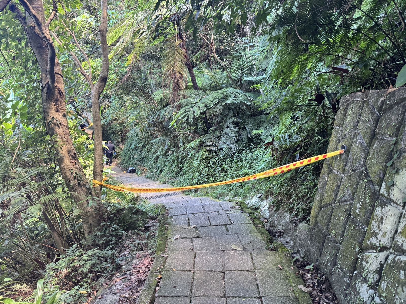 象山步道飄惡臭原因找到了　竟是「岩壁中間」卡男屍