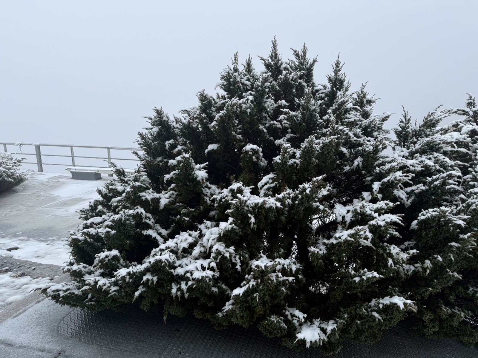 玉山北峰下雪了。圖／中央氣象署