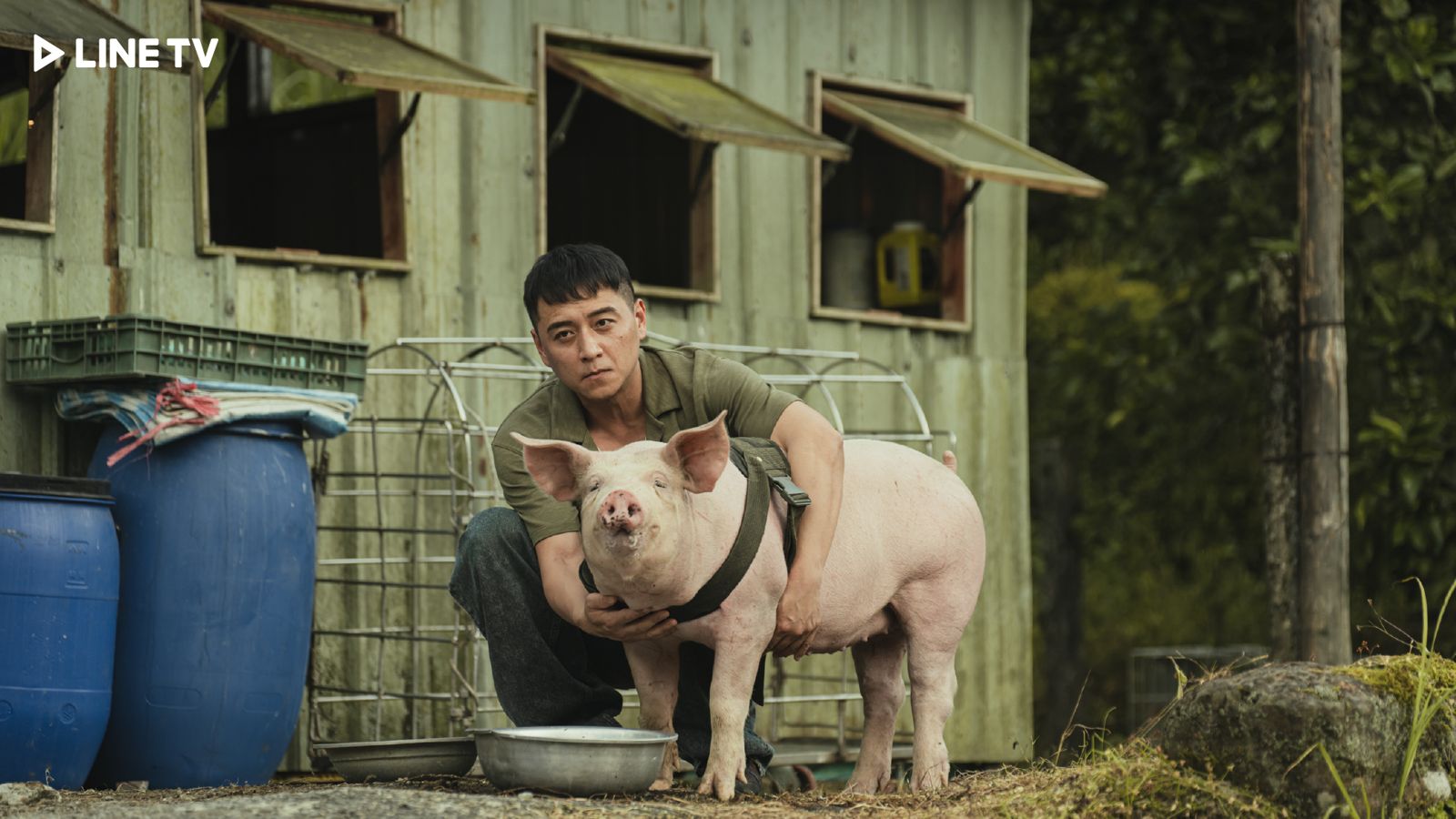 鄭人碩稱讚豬演員很敬業。LINE TV提供