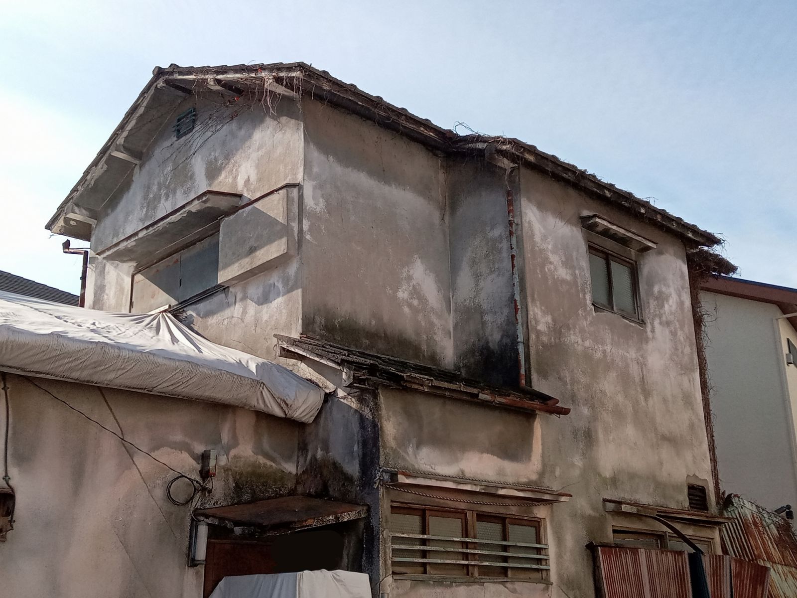 驚悚！6歲女童腦袋被「啃」出20個洞　兇手竟是老家這東西