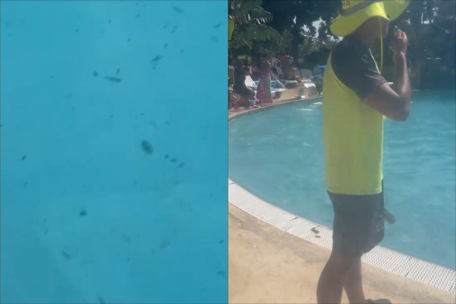 畫面噁心慎點!水上樂園驚見「糞便漂浮」遊客全被趕出場…又是TikTok挑戰惹的禍