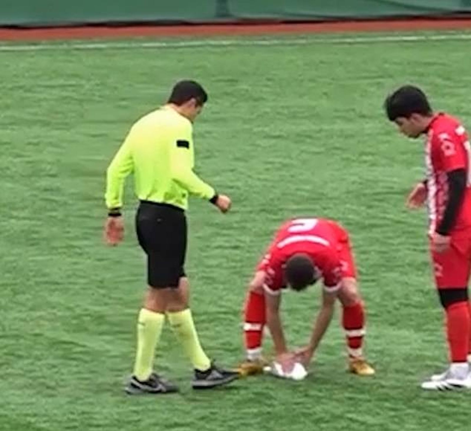 卡坦為海鷗進行CPR。圖/翻自《每日郵報》