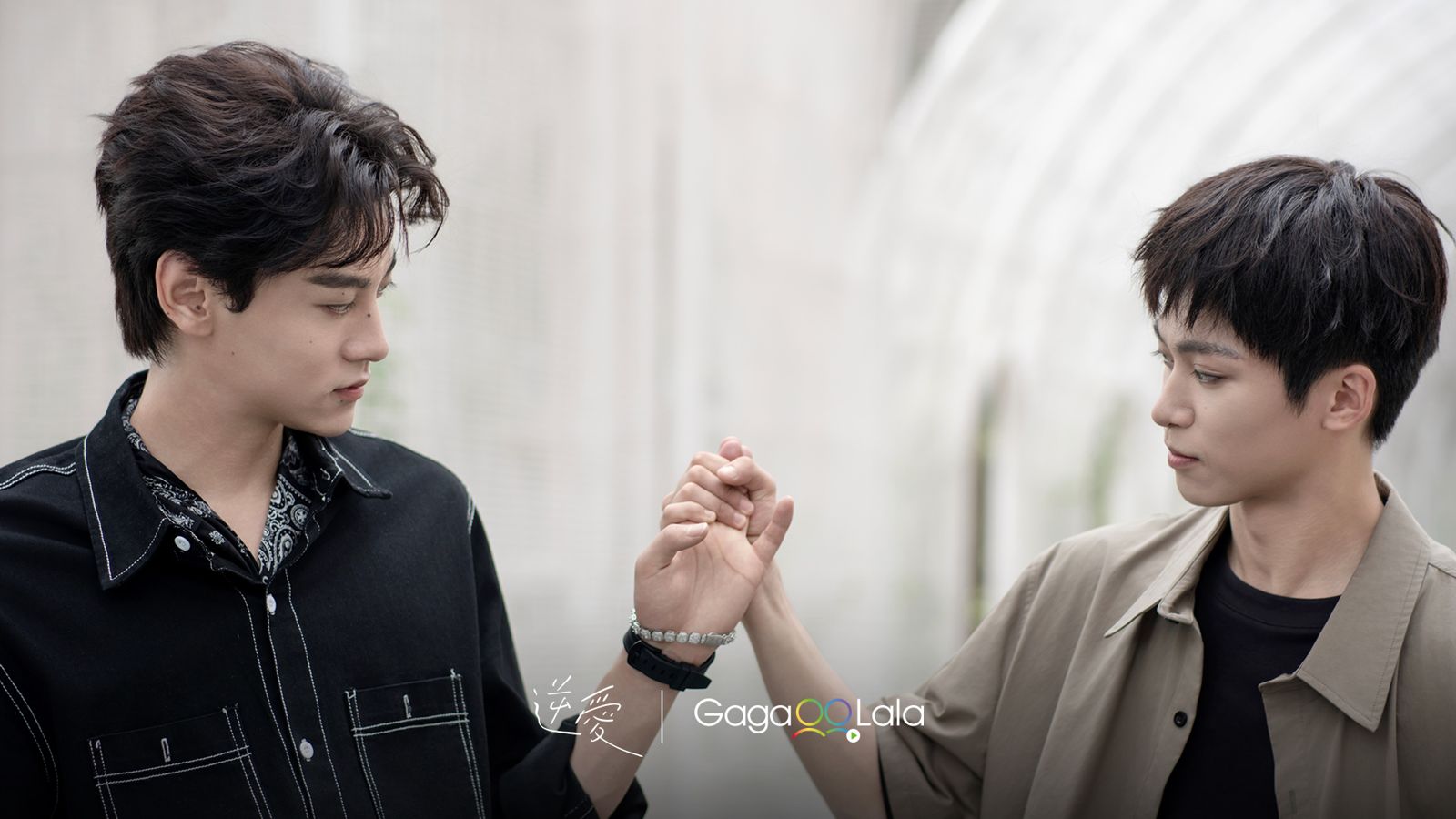 BL陸劇《逆愛》滿血回歸破10萬讚　田栩寧火力全開狠追心上人