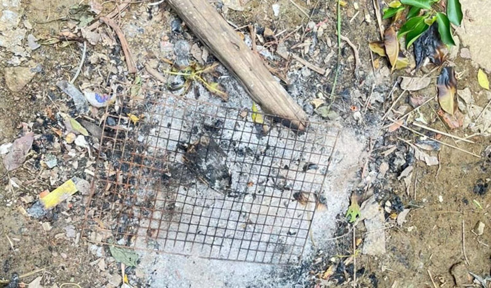 就是不聽小孩勸！男子醉後「親手烤蜥蜴肉+蛋」豪吞　隔天暴斃家門外