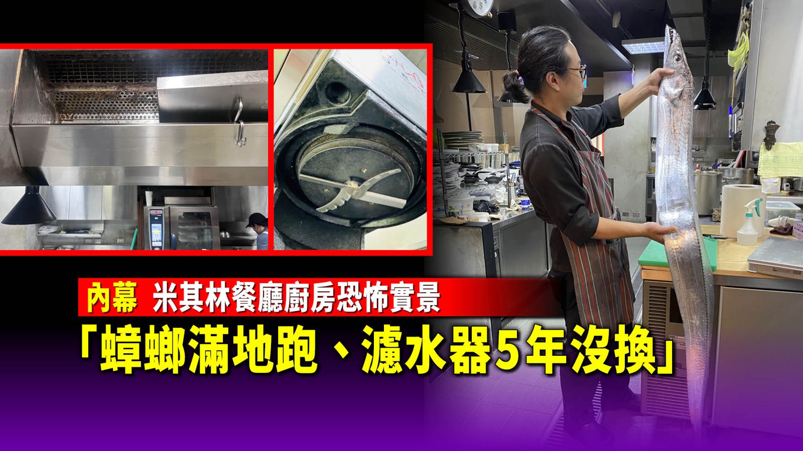 內幕／米其林餐廳廚房恐怖實景　「蟑螂滿地跑從不消毒、濾水器5年沒換」