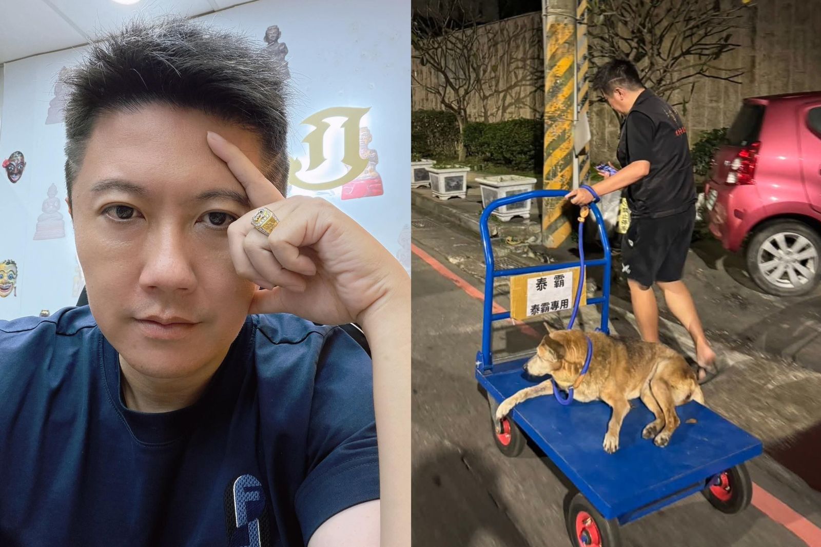 認養1個月就走失不帶回!賓賓哥遭轟「把救狗當流量工具」