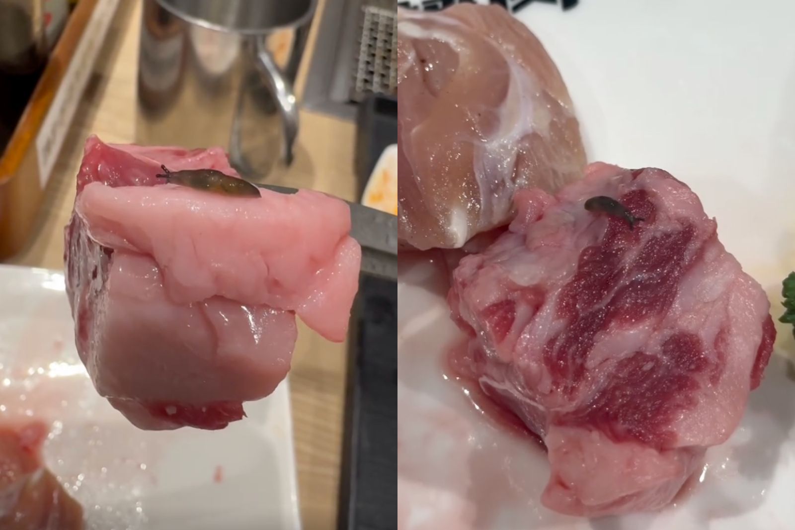 北車平價燒肉店「吃到活蛞蝓」! 店員竟稱:已經揪出很多隻了