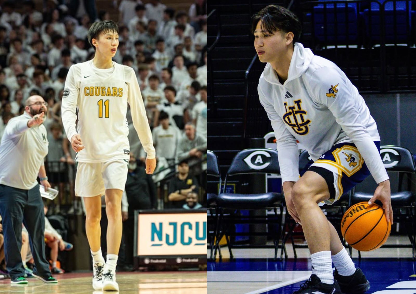 FIBA放寬本土認定　中華隊迎來新變局　車侑城、林彥峰都有望受惠？