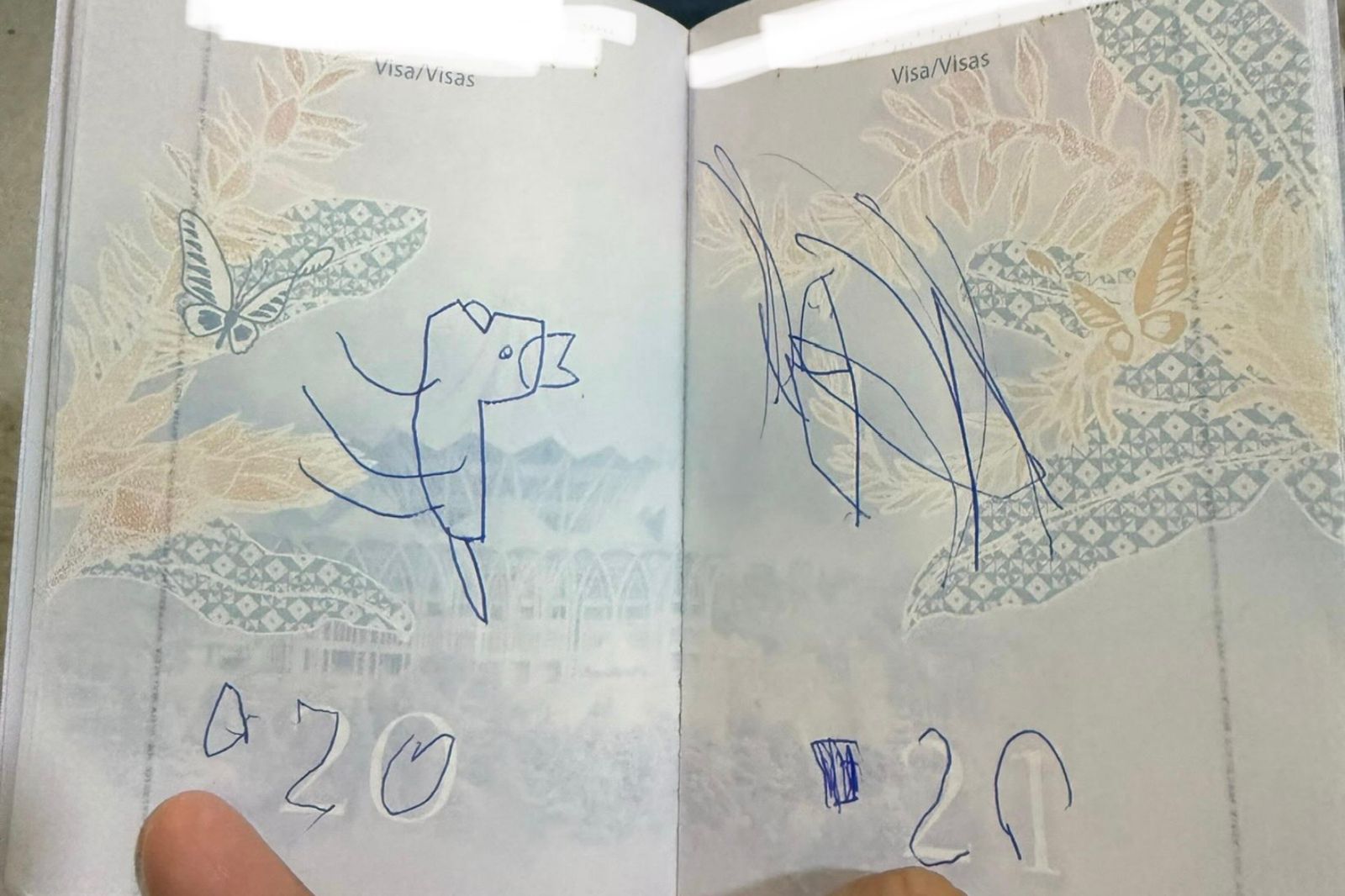 護照被小孩塗鴉!大馬爸「出國行程全毀」慘賠4800 嘆:只能接受命運