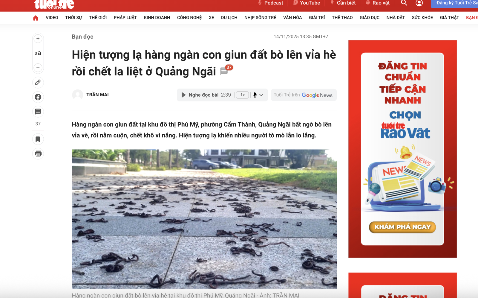 越南街道出現成千上萬死蚯蚓,引起民眾驚慌。圖/翻攝自《青年報》