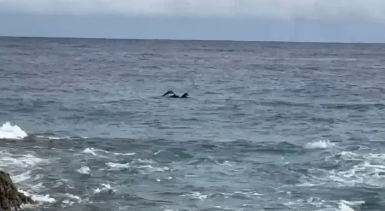 蘭嶼2鄉民出海捕魚驚險落海 竟是「類船型浮具」釀禍