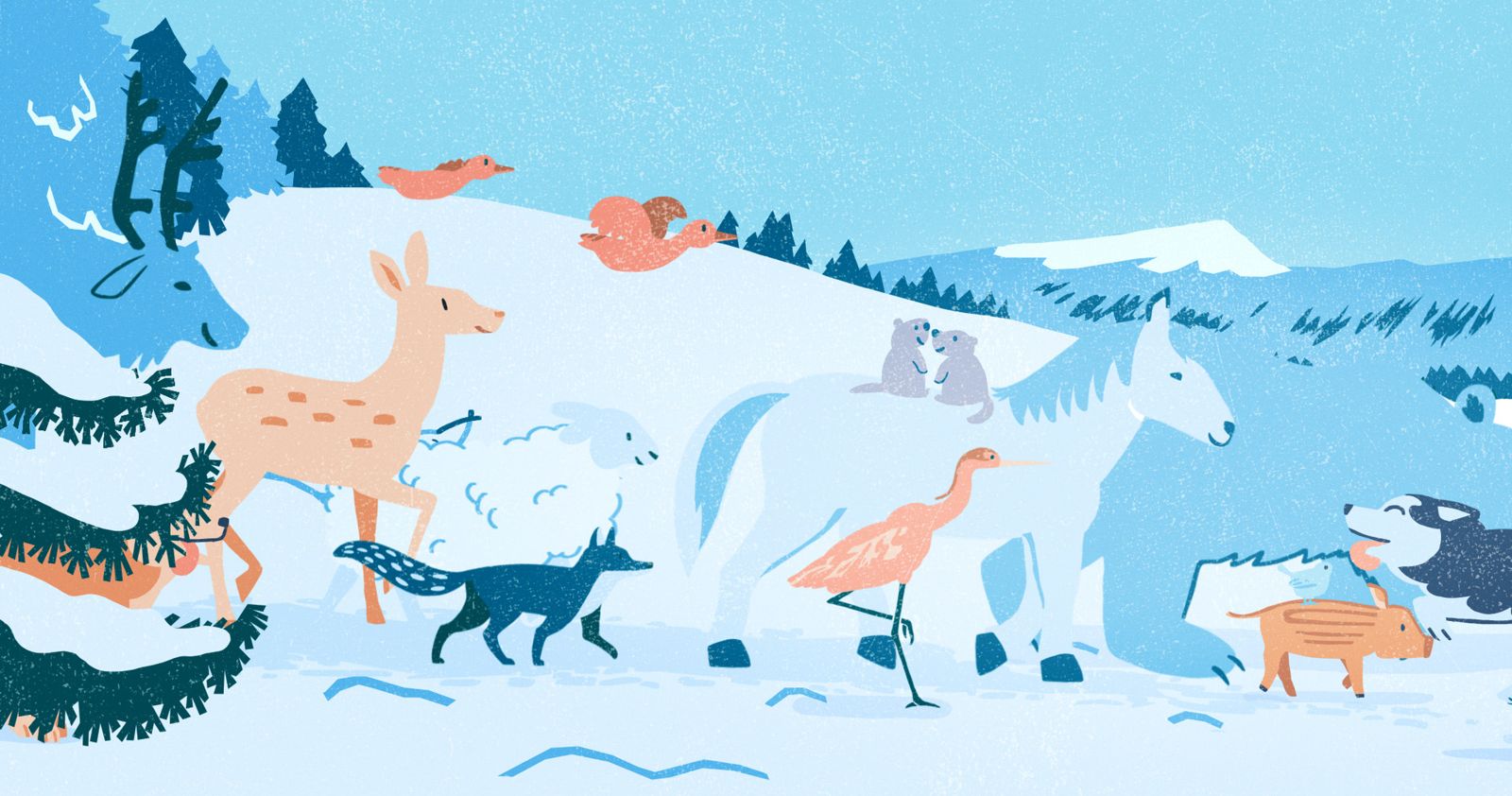 「第五讚：動物們的狂歡時節」，讓森林裡的動物們聚集一起，共賞魔幻的北極光奇觀。海鵬影業提供