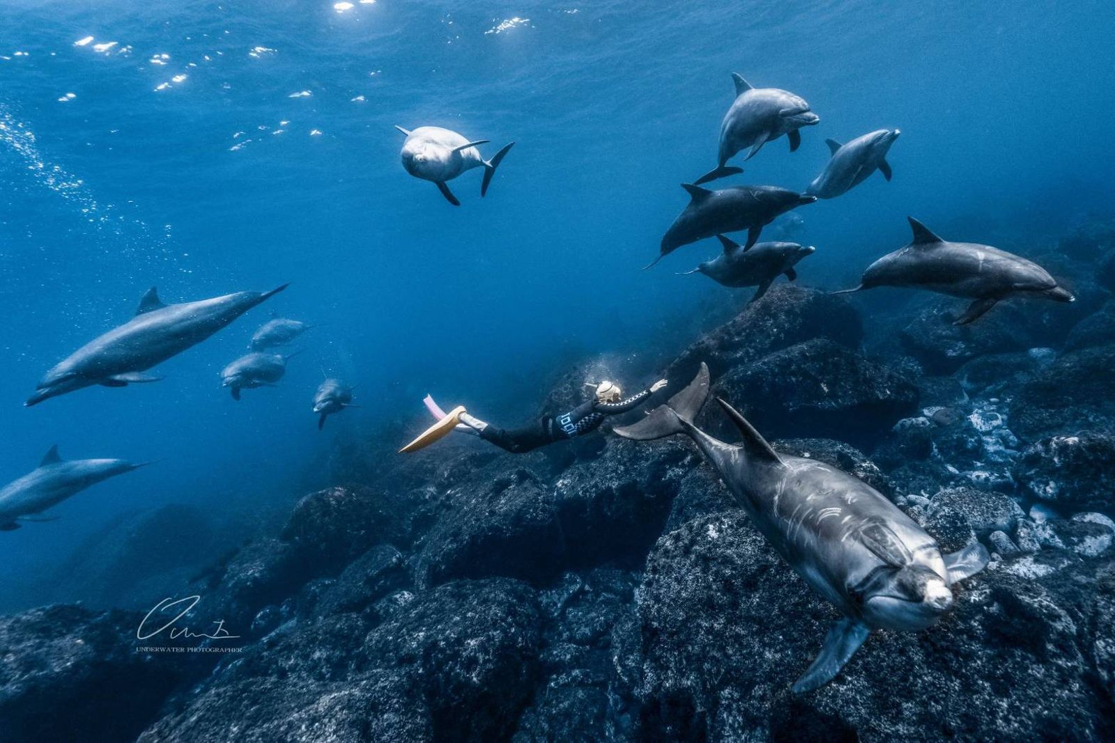 周杰倫 版稅 收入 (99) 사진