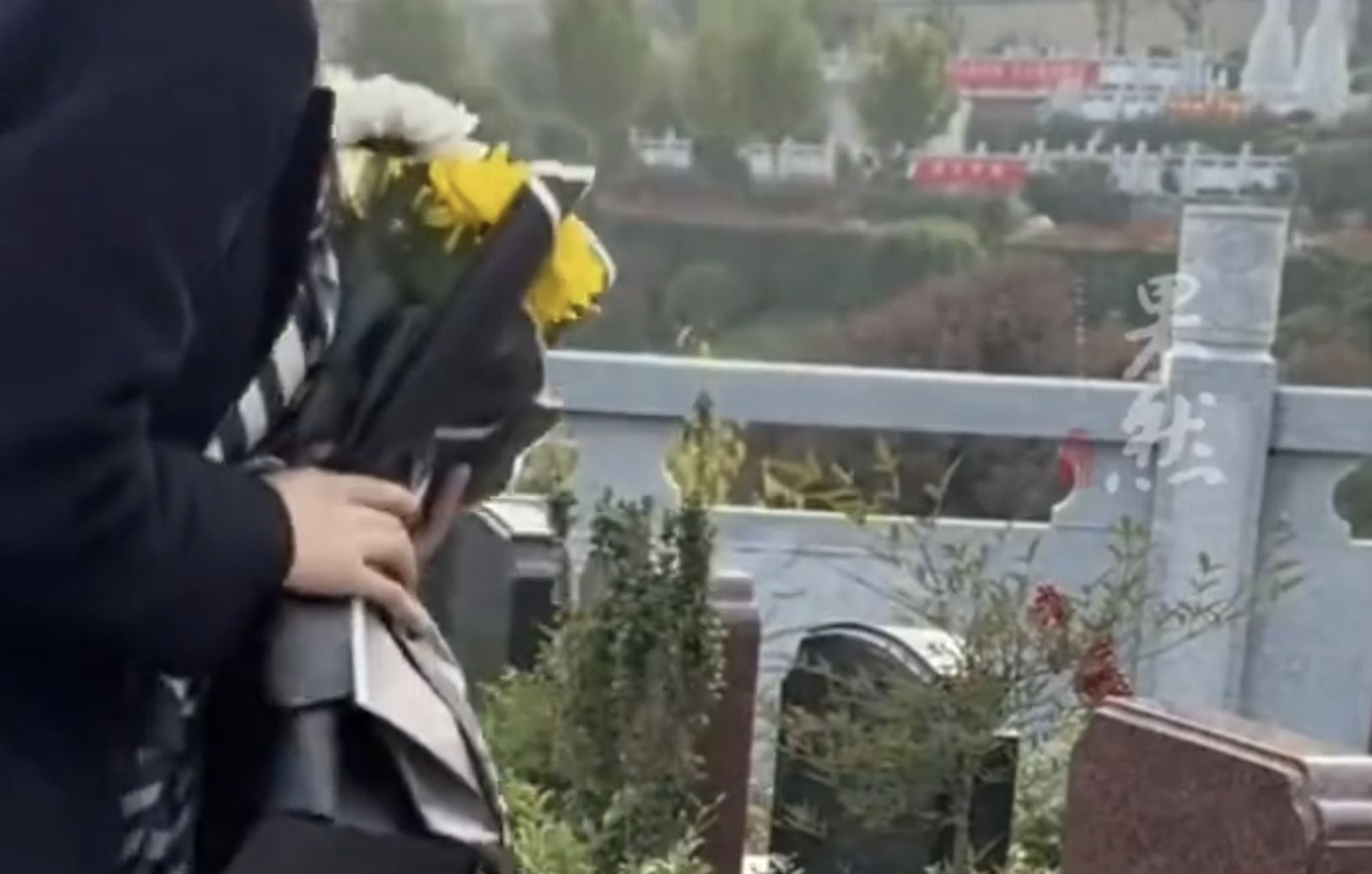 清明節代客掃墓「要價2.3萬」 他揭真實狀況:連祖先都拜錯