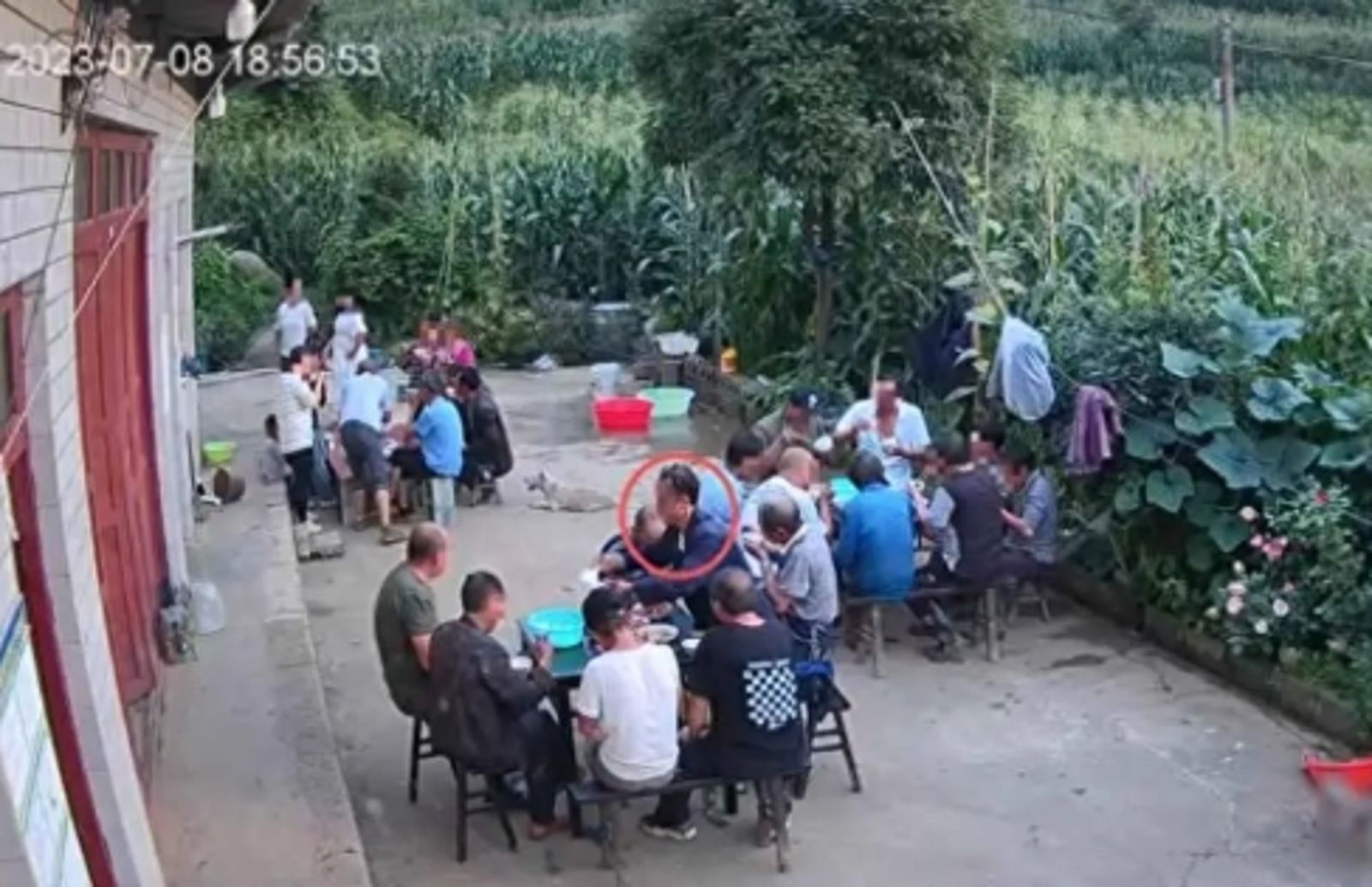 他懷疑被拉黑「狠殺鄰居」後連發7短影音　被害人兒：第二天還來我家吃飯