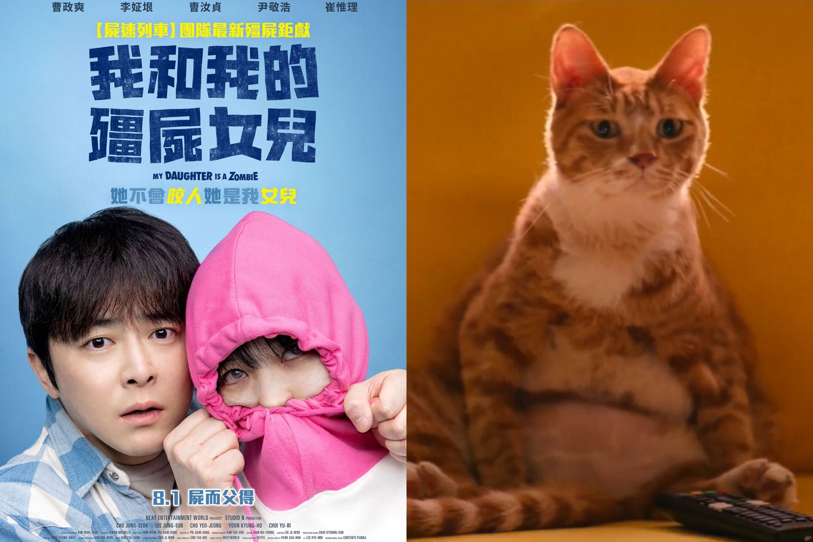 《我和我的殭屍女兒》選角神還原！天才貓咪超會演　導演讚：貓的報恩