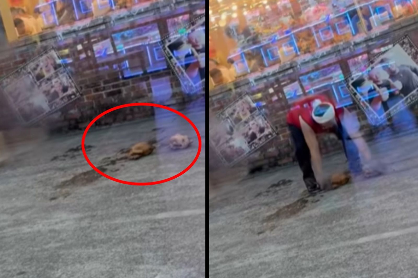 新竹名店「烤雞掉地上」竟撿起來!店家急澄清:都丟廚餘了