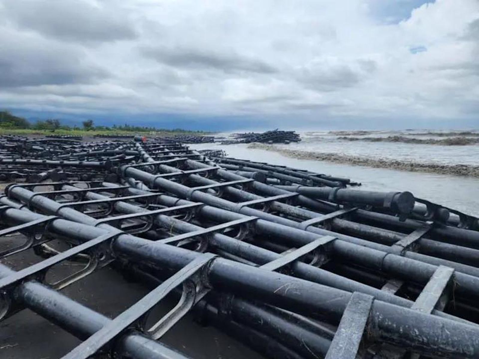 投書：綠能不是原罪　但欠缺警覺的本土卻是災難