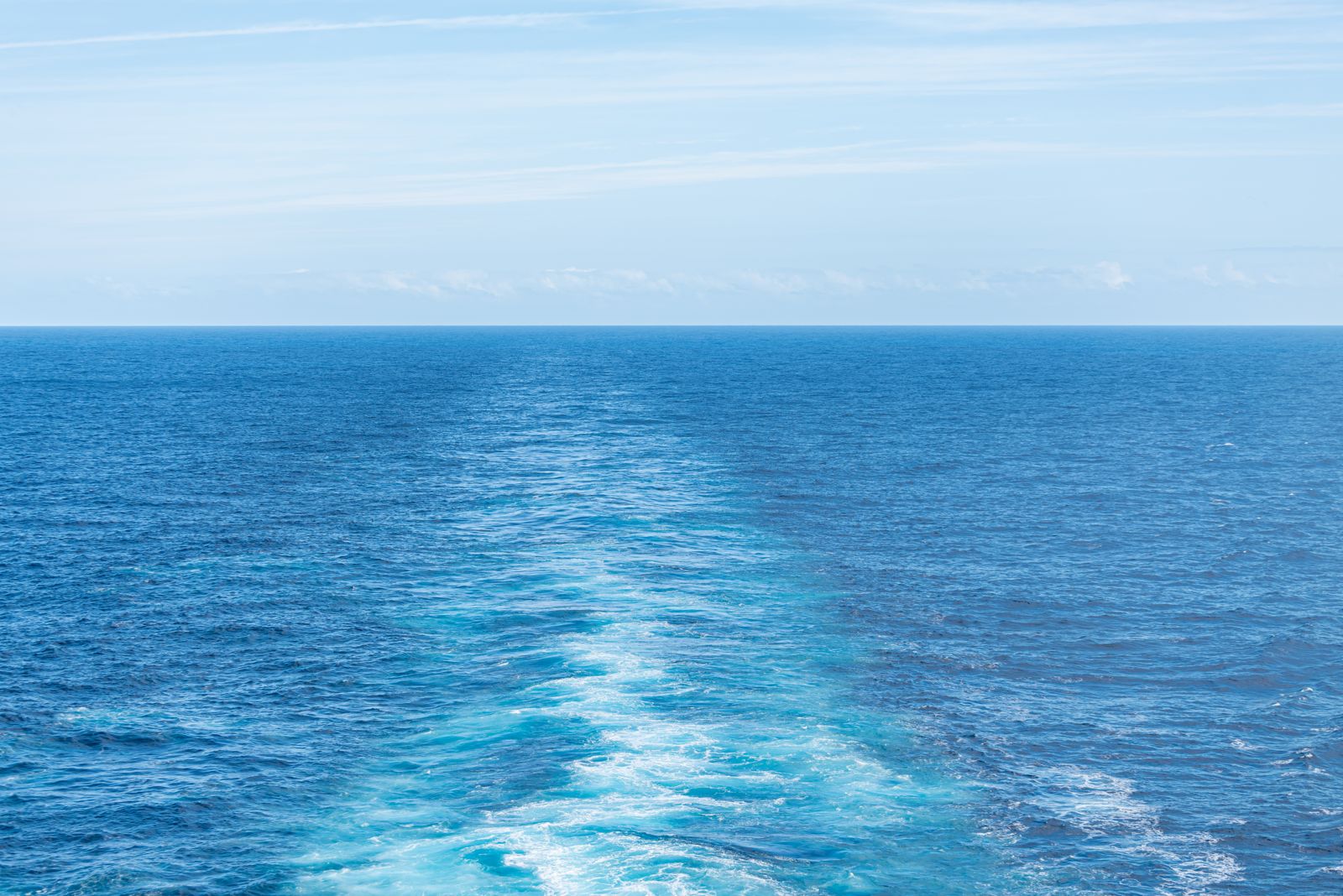 今天世界海洋日！專家揭「底拖捕撈」殘忍內幕：超過3／4都被丟棄