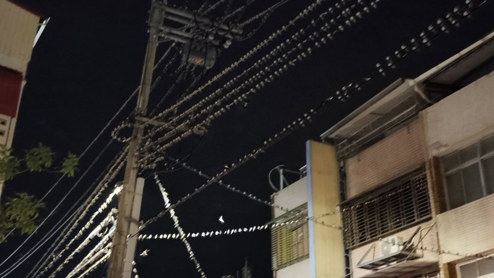 南部近期出現上千隻家燕聚集電線桿。圖/翻攝自曾慶義臉書