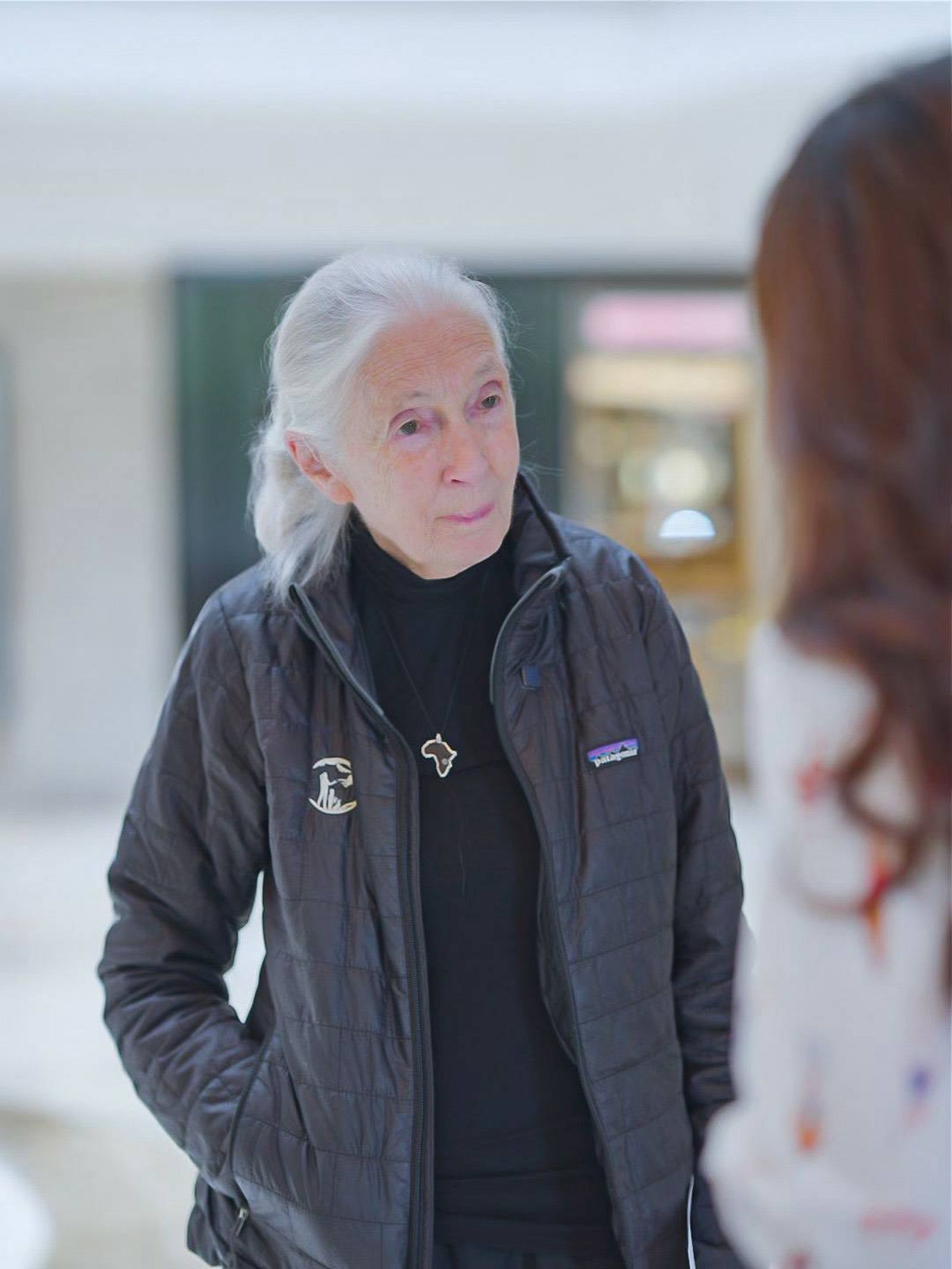 珍古德博士已前往「下一段旅程」。三立提供