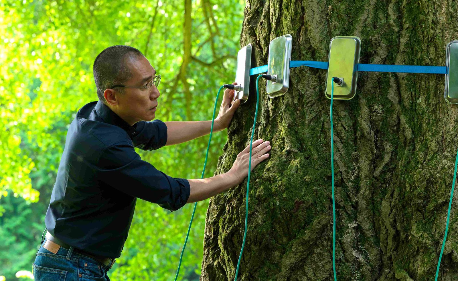 三國製片全反對！梁朝偉首演歐洲片《你是不會當樹嗎》打臉　大聊「跟樹溝通」神秘經驗