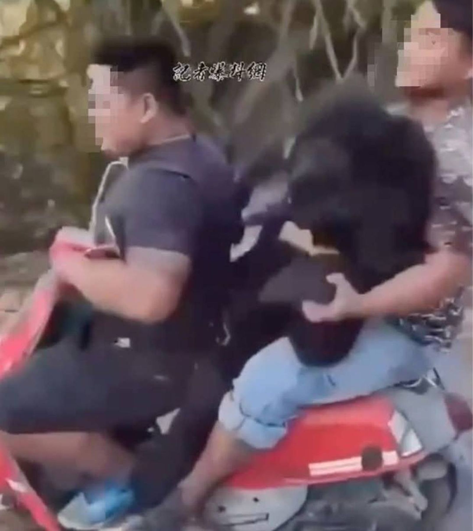 3年獵殺4黑熊還「三貼」運屍　屏東霧台9原民一審獲判無罪　檢不服上訴了