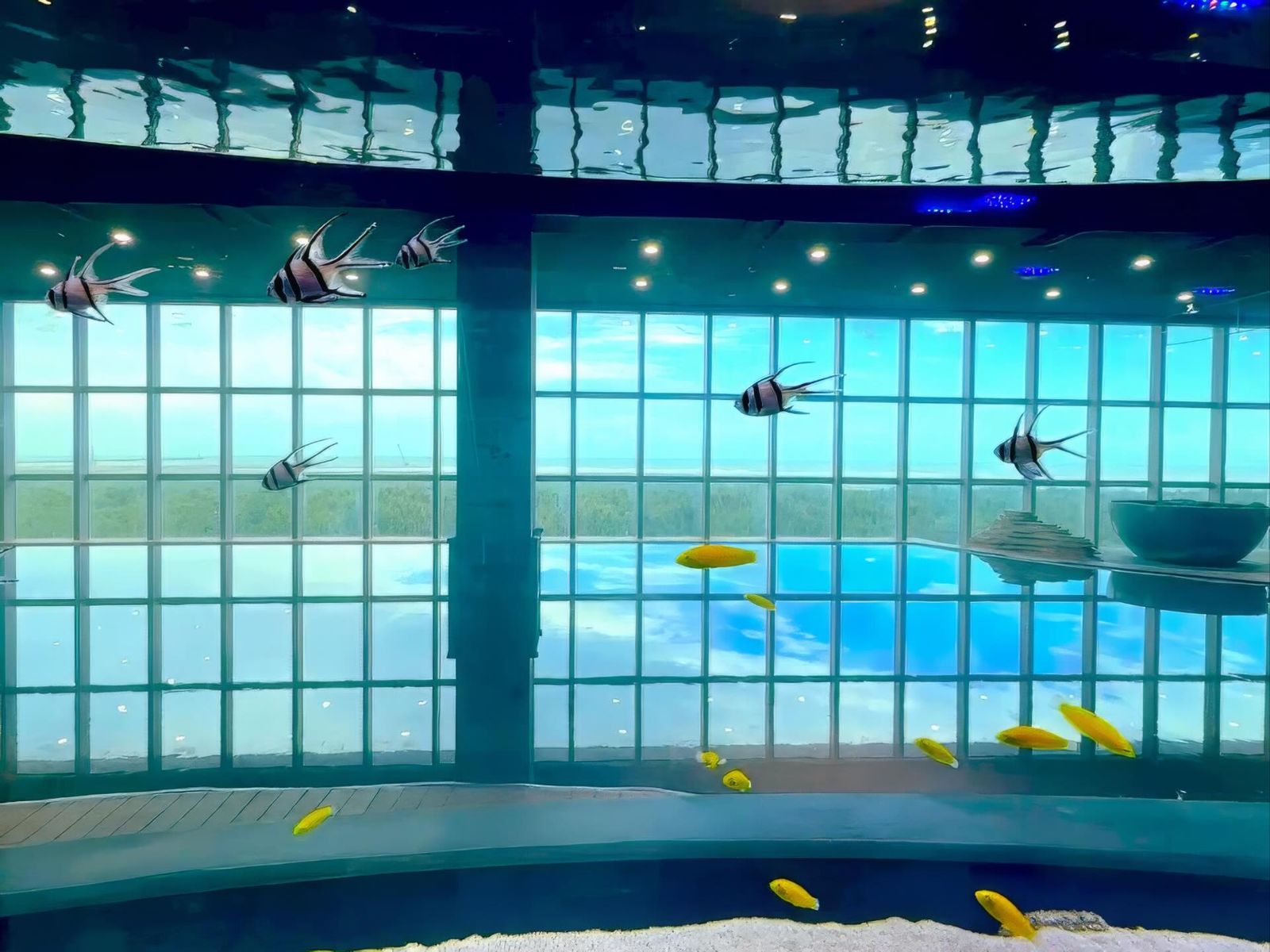 網友反映「魚池沒幾條魚」。圖/翻攝自Threads@hisob2020