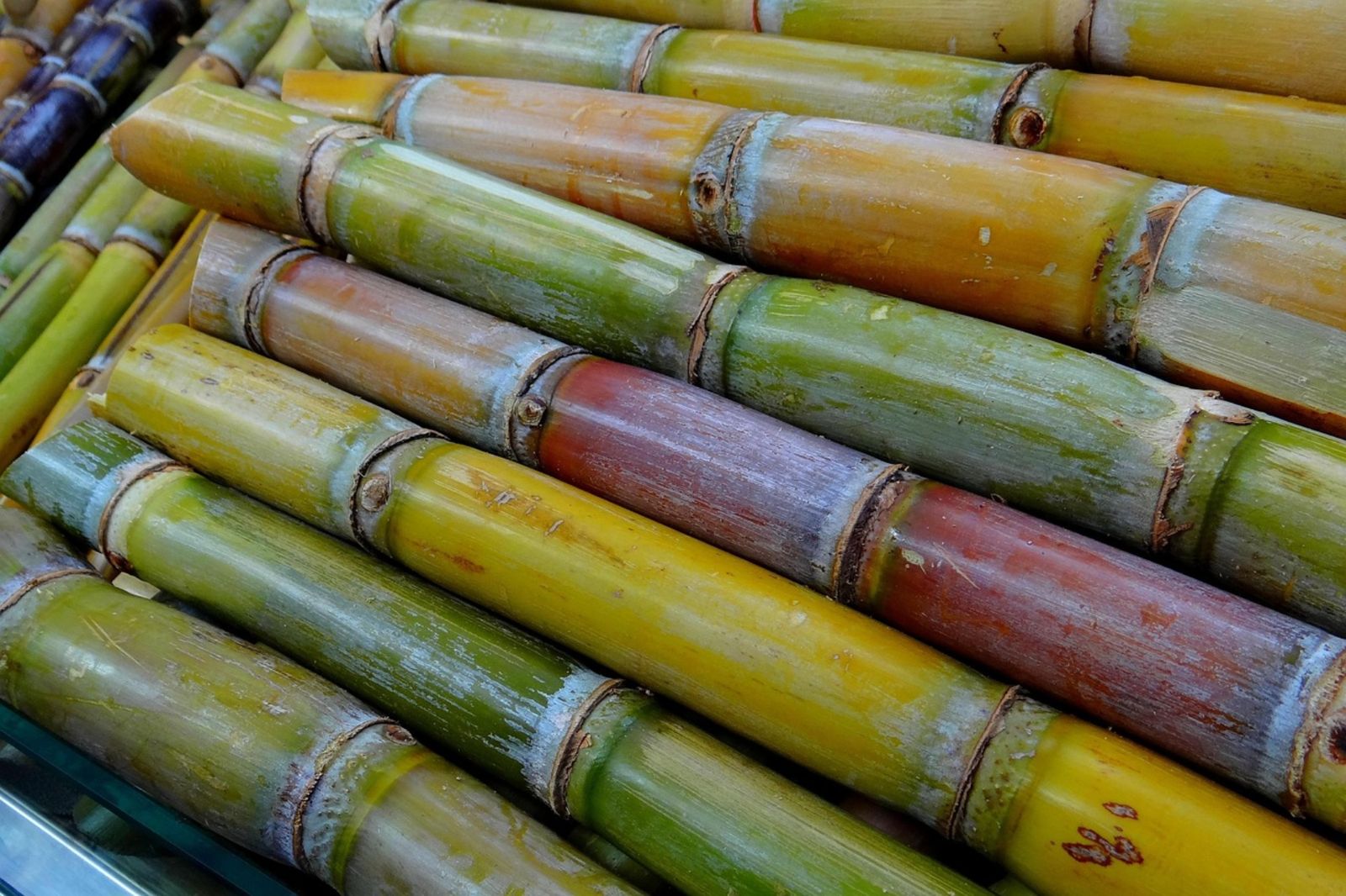 啃半根甘蔗！妙齡女突張不開嘴　就醫確診「美女病」