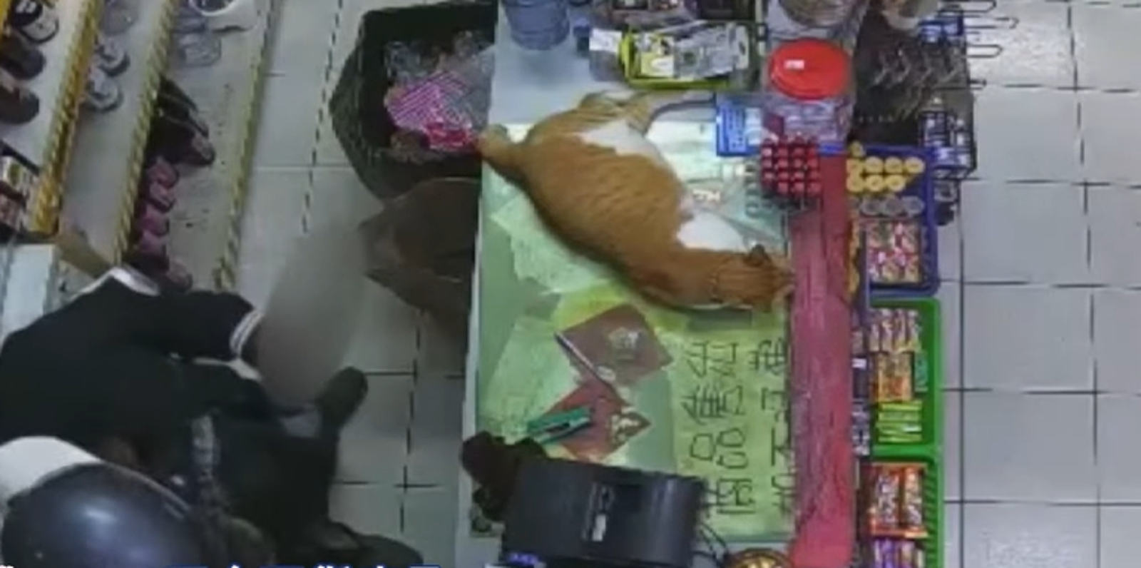 「最暖搶匪」是你?鳳山男亮刀劫萬元 8600元秒供奉女友買新衣…橘貓淡定目擊全程