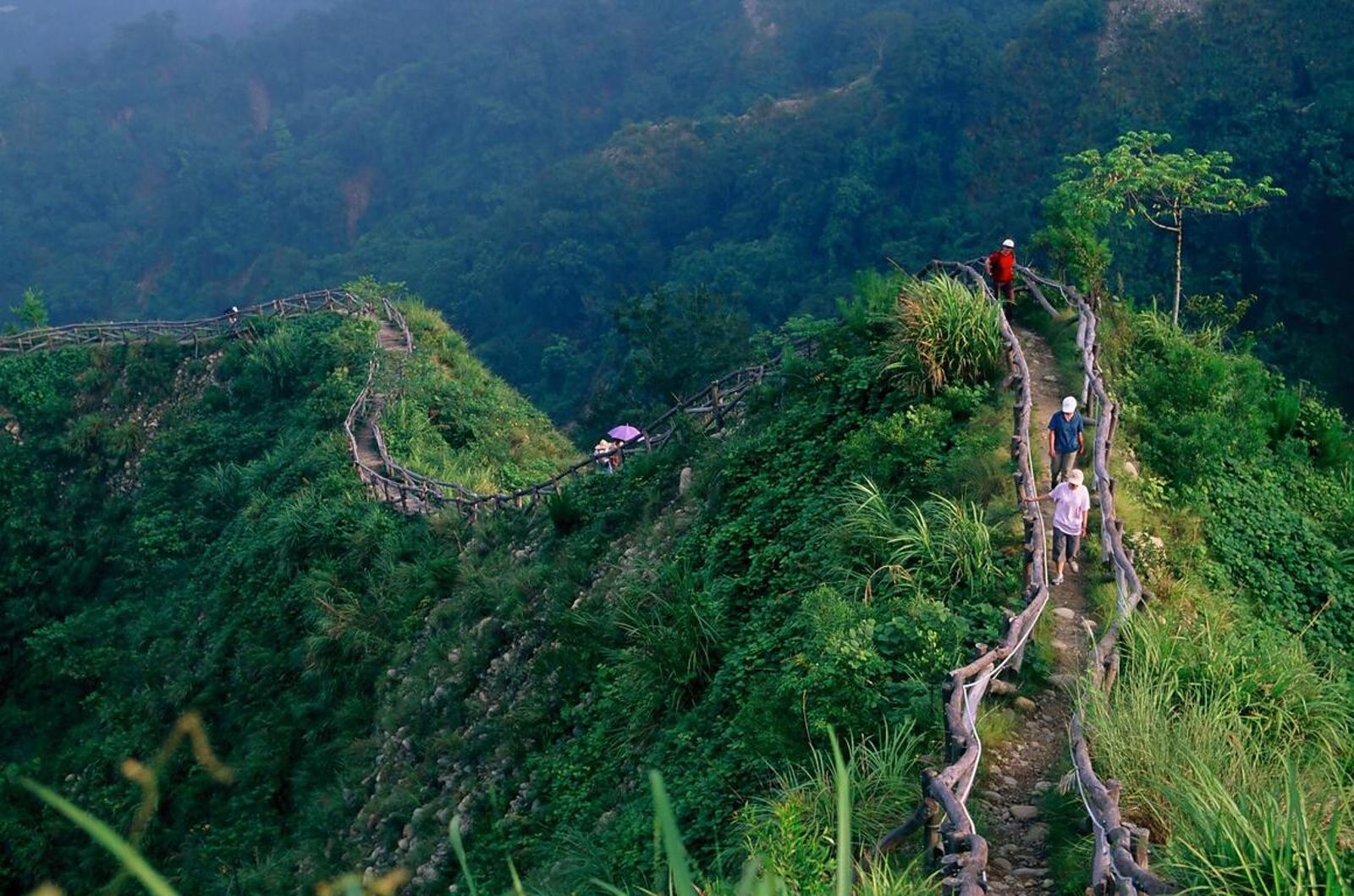 網傳台中大坑女大生登山迷路!獲救淚曝「阿伯教走東北方」…竟是10年前真實事件