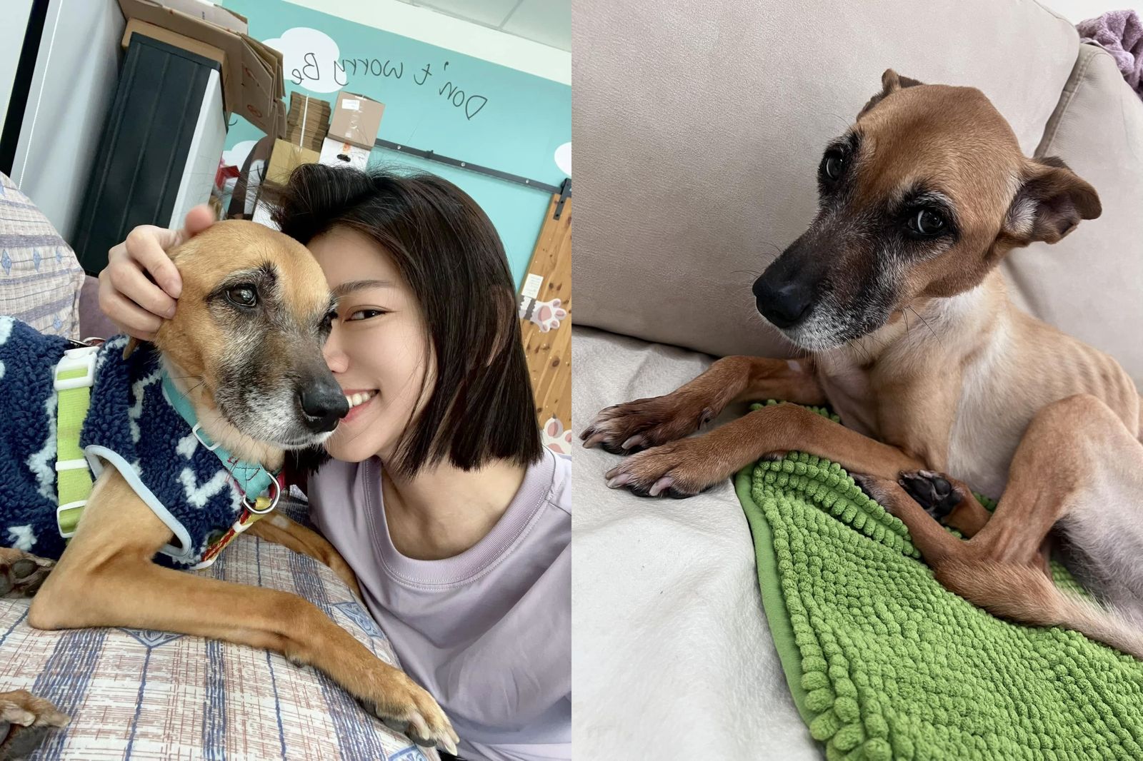 與孫綻傳分手　米可白回應以錢錢為重