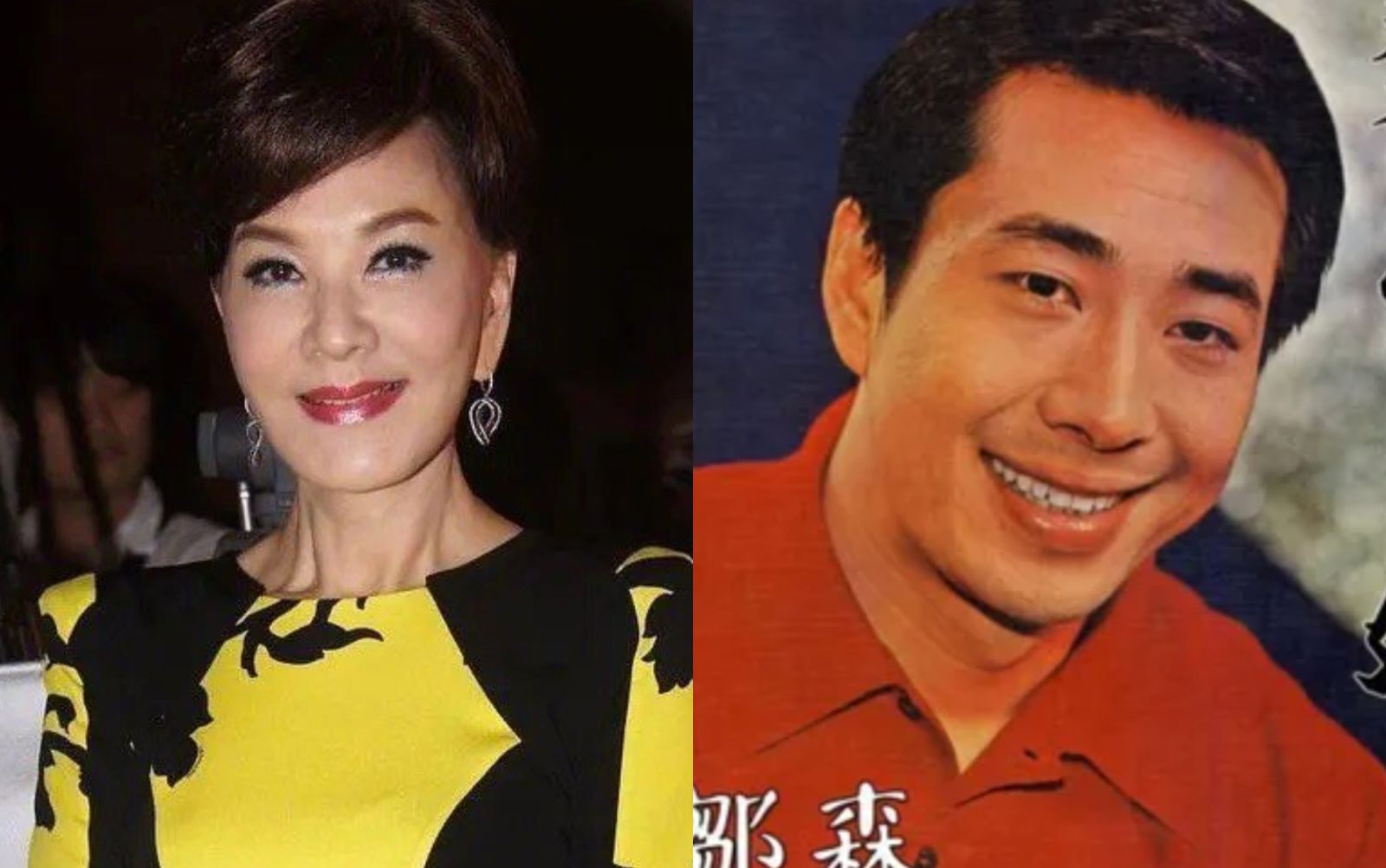 和夏台鳳13年婚姻告吹！鄒森和男性「超友誼關係」重創形象