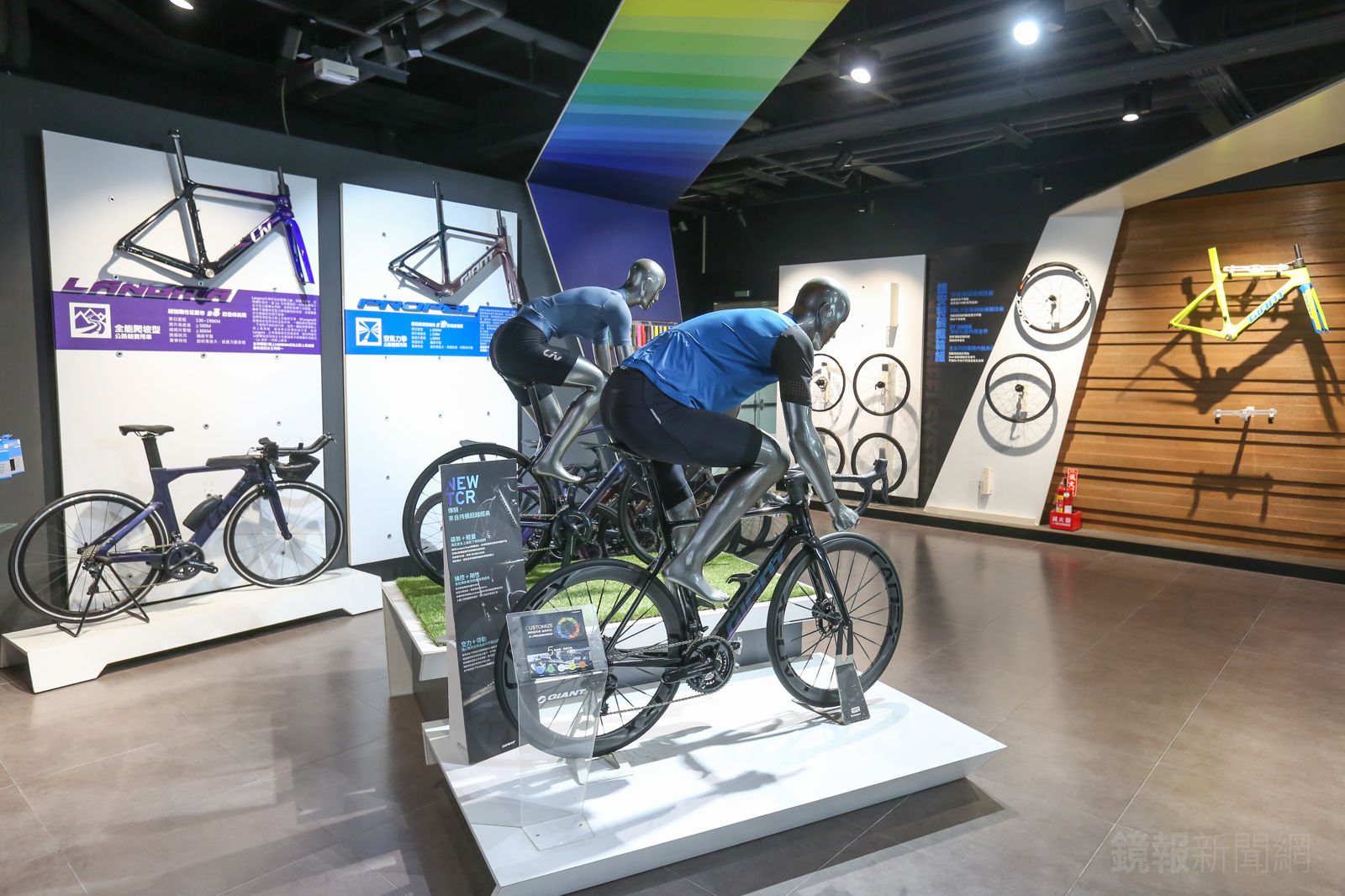 台灣捷安特涉「強迫勞動」！美海關暫扣巨大製造商產品　最慘後果曝光