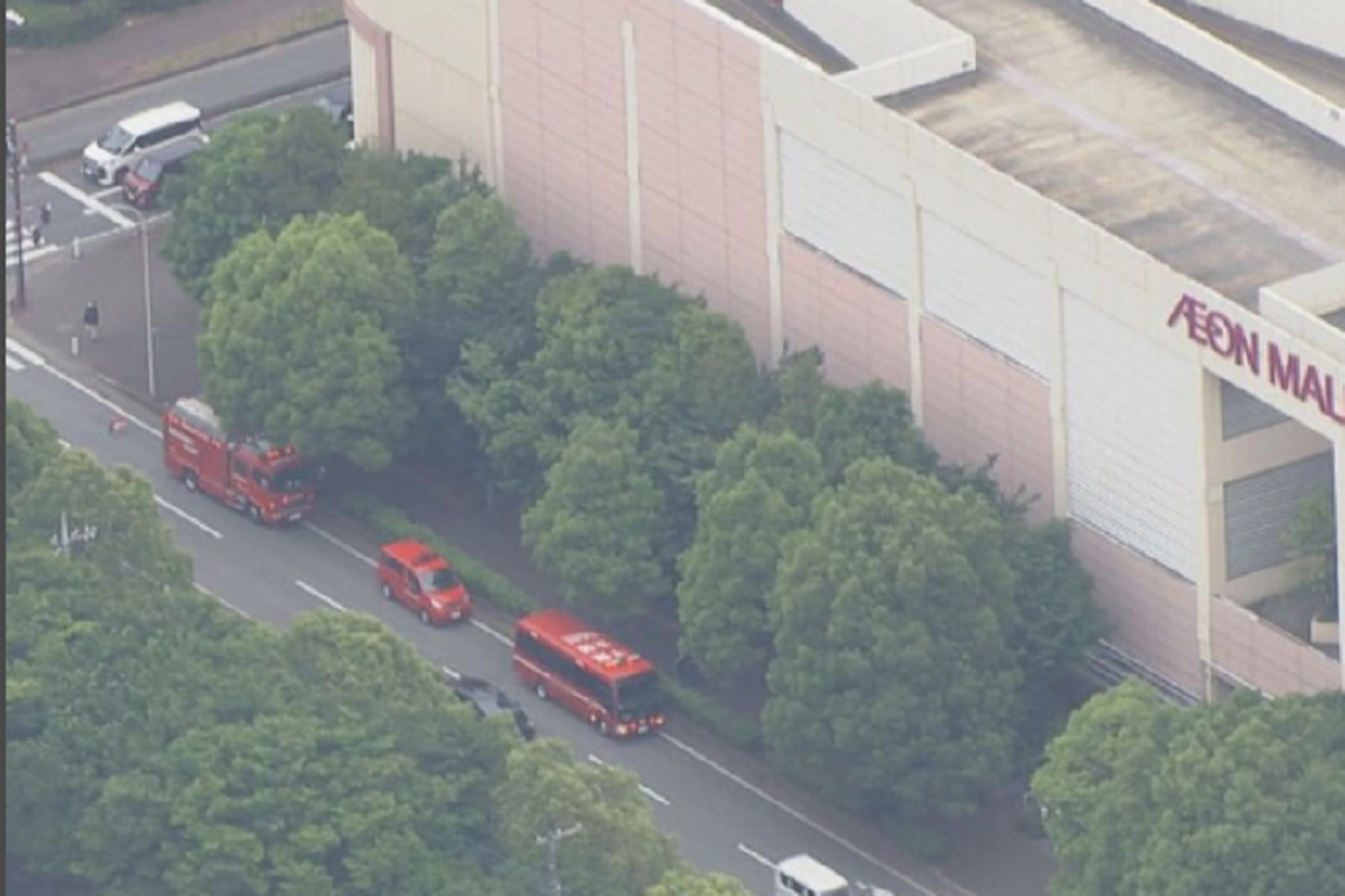 無差別傷人?日本驚傳1大賣場遭人惡意噴催淚瓦斯 至少32傷