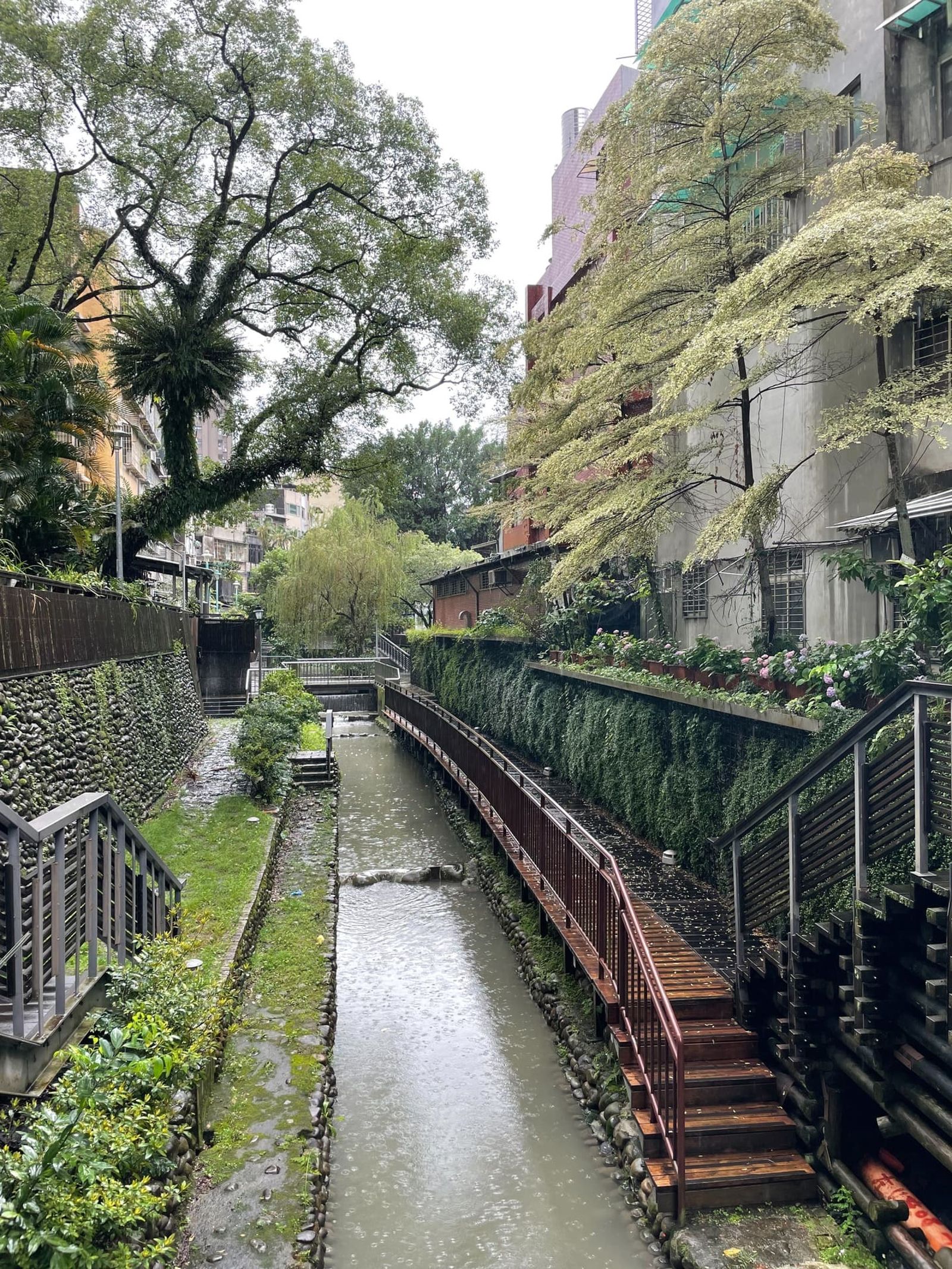 投書：請比照賴總統萬里老家　搶救瑠公圳蔡金木宅