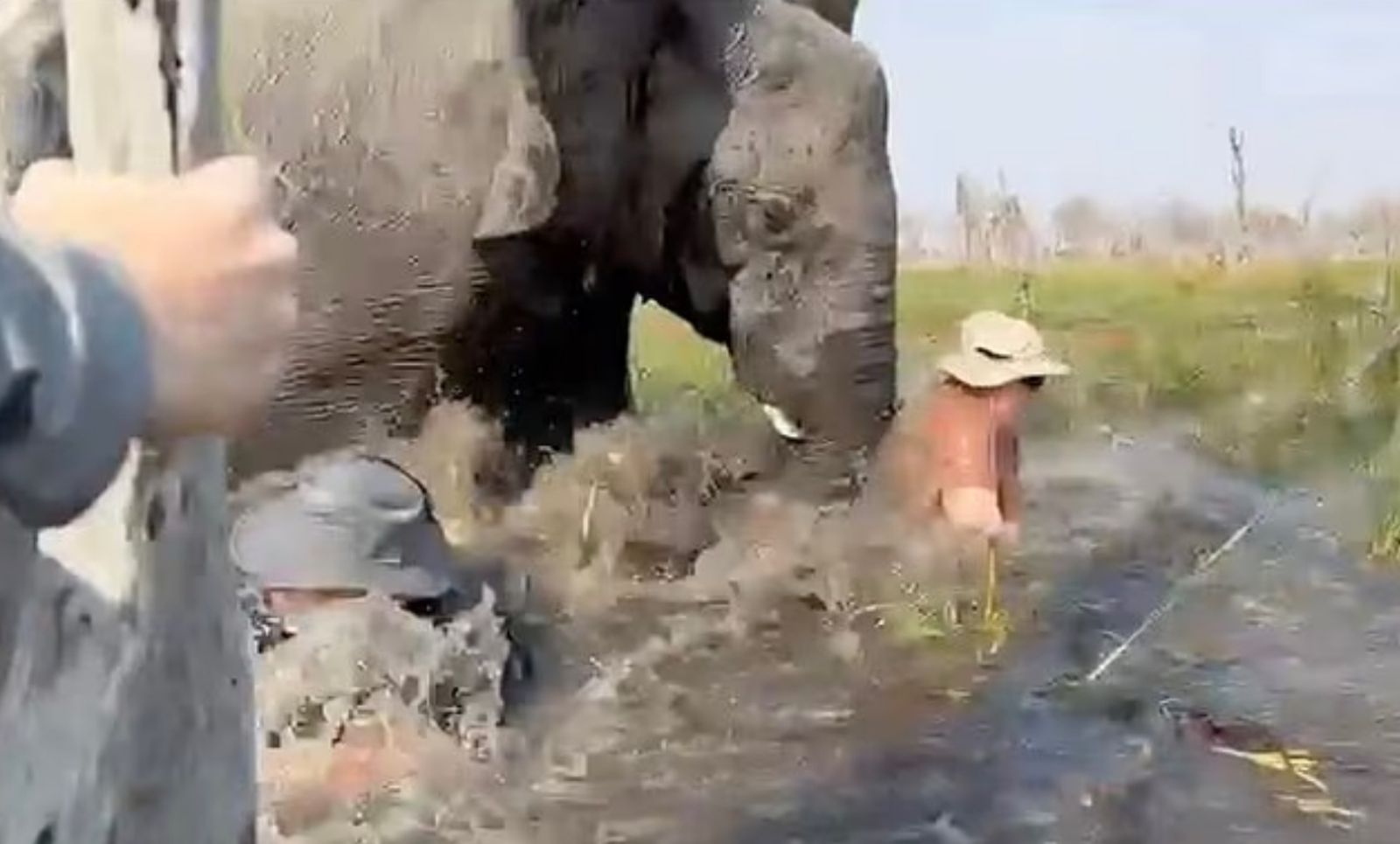 太靠近小象！公象突發狂掀翻獨木舟　4遊客遭撞驚悚畫面曝光