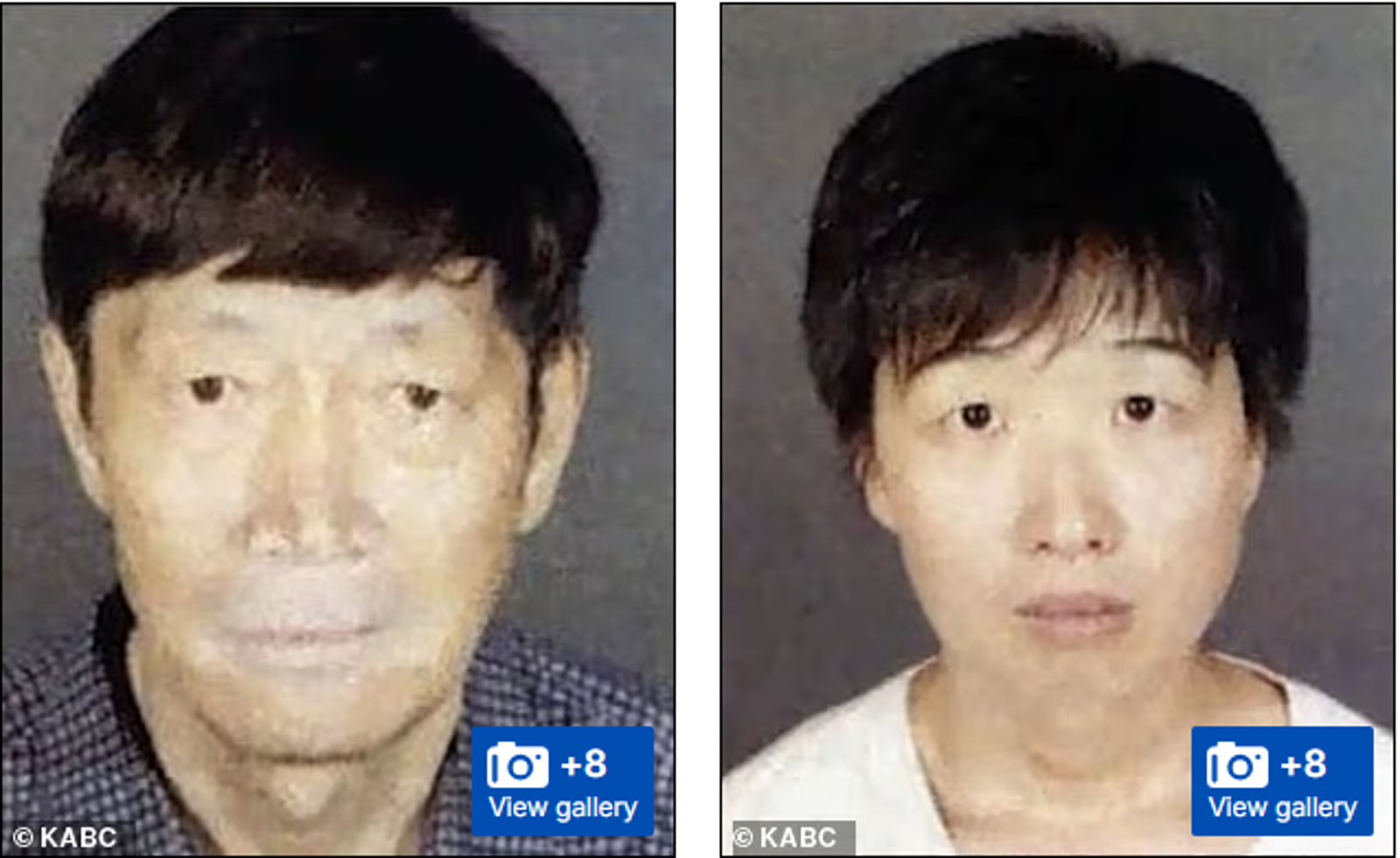 宣國軍與張席爾維亞疑涉人口販賣。圖／翻自《每日郵報》