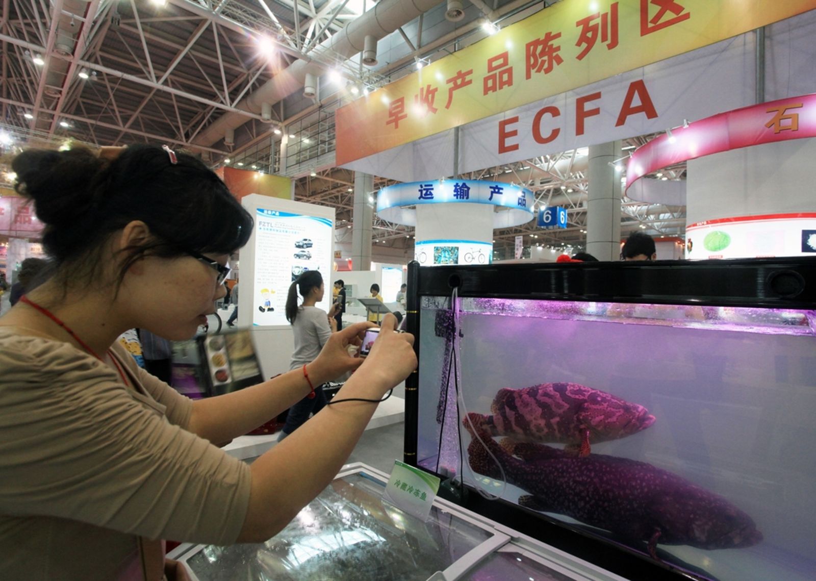 ECFA滿16年──經濟依附中國的神話已經破滅