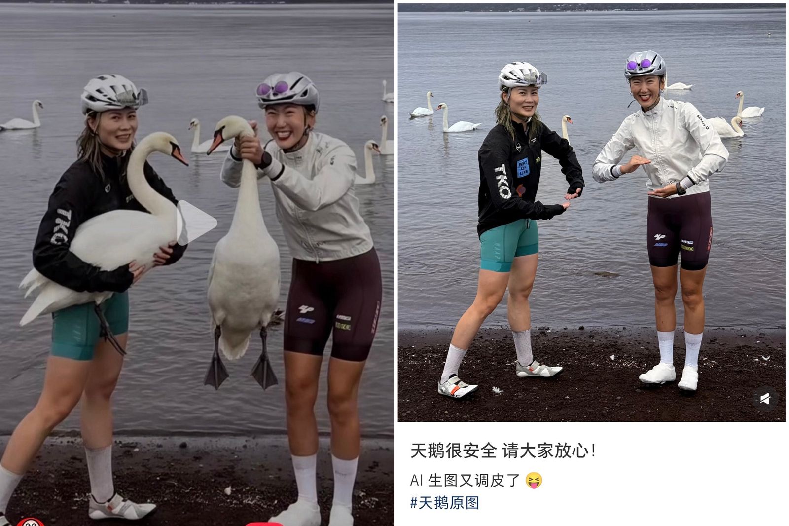 又傳中國客迷惑行為 褻玩富士山湖天鵝?原PO急改名關站