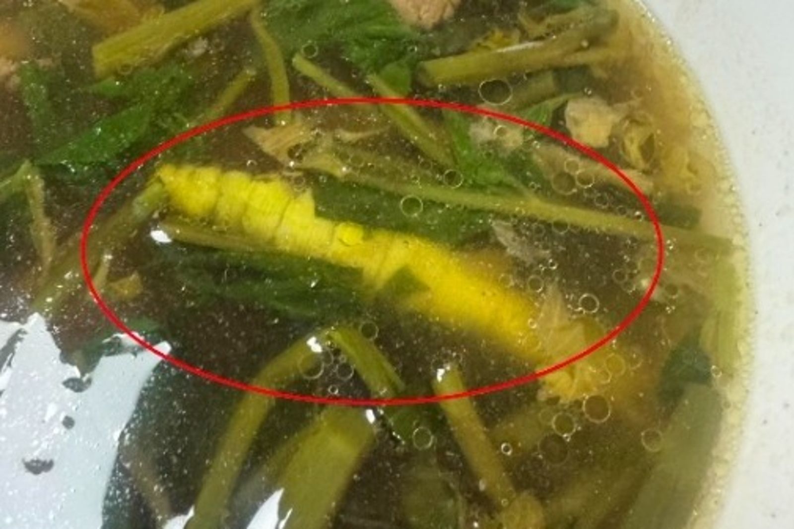 一名網友抱怨在公司團膳的牛肉麵中,看到一隻巨大的蠶寶寶。圖/翻攝自爆料公社